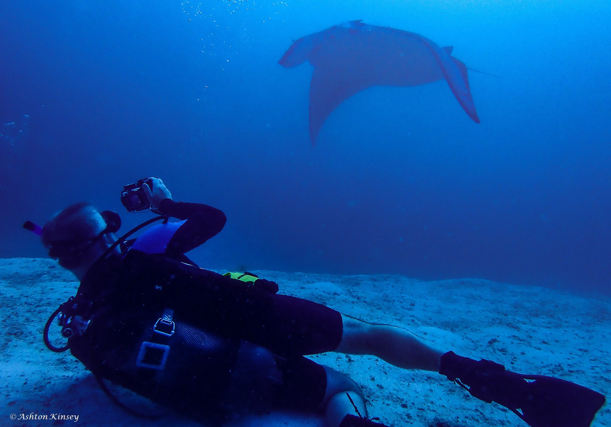 Lilly Manta Point.jpg