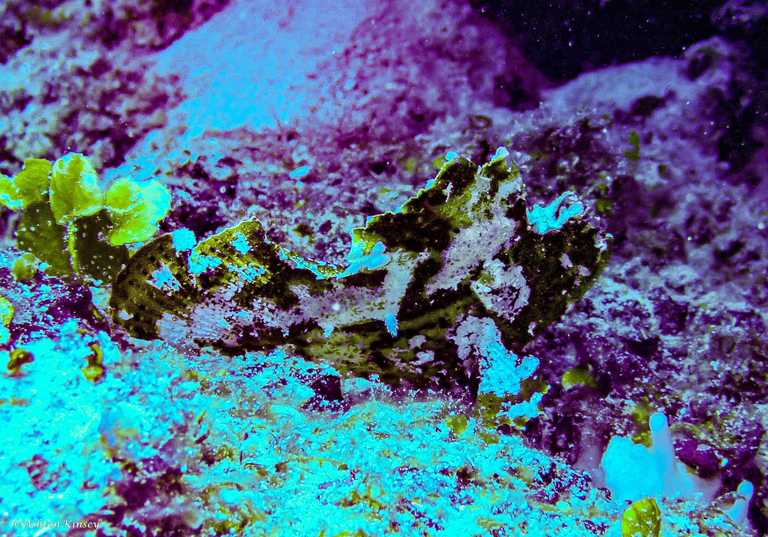 Hathikolhu-1.jpg