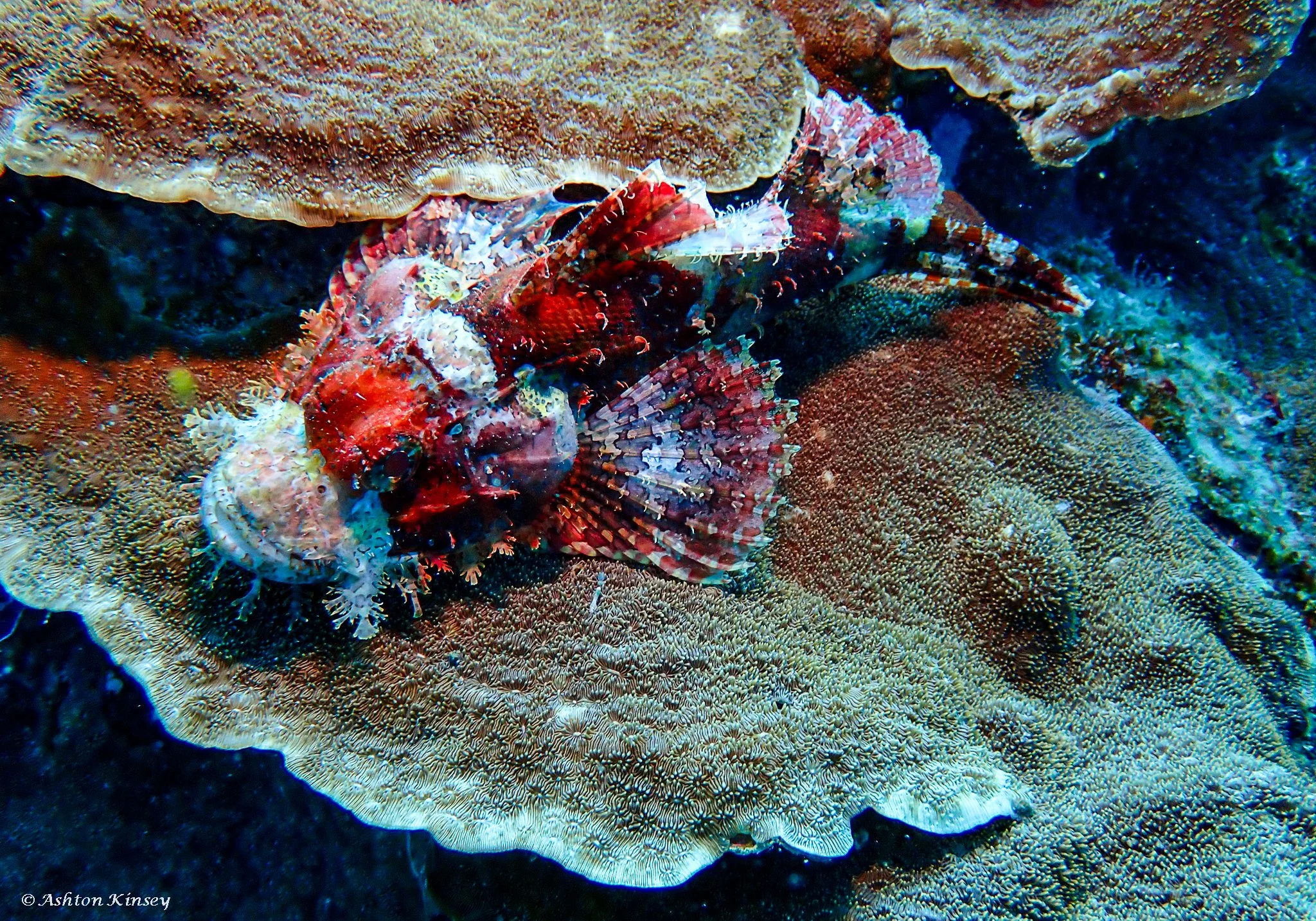 Kuda Giri Wreck-4.jpg