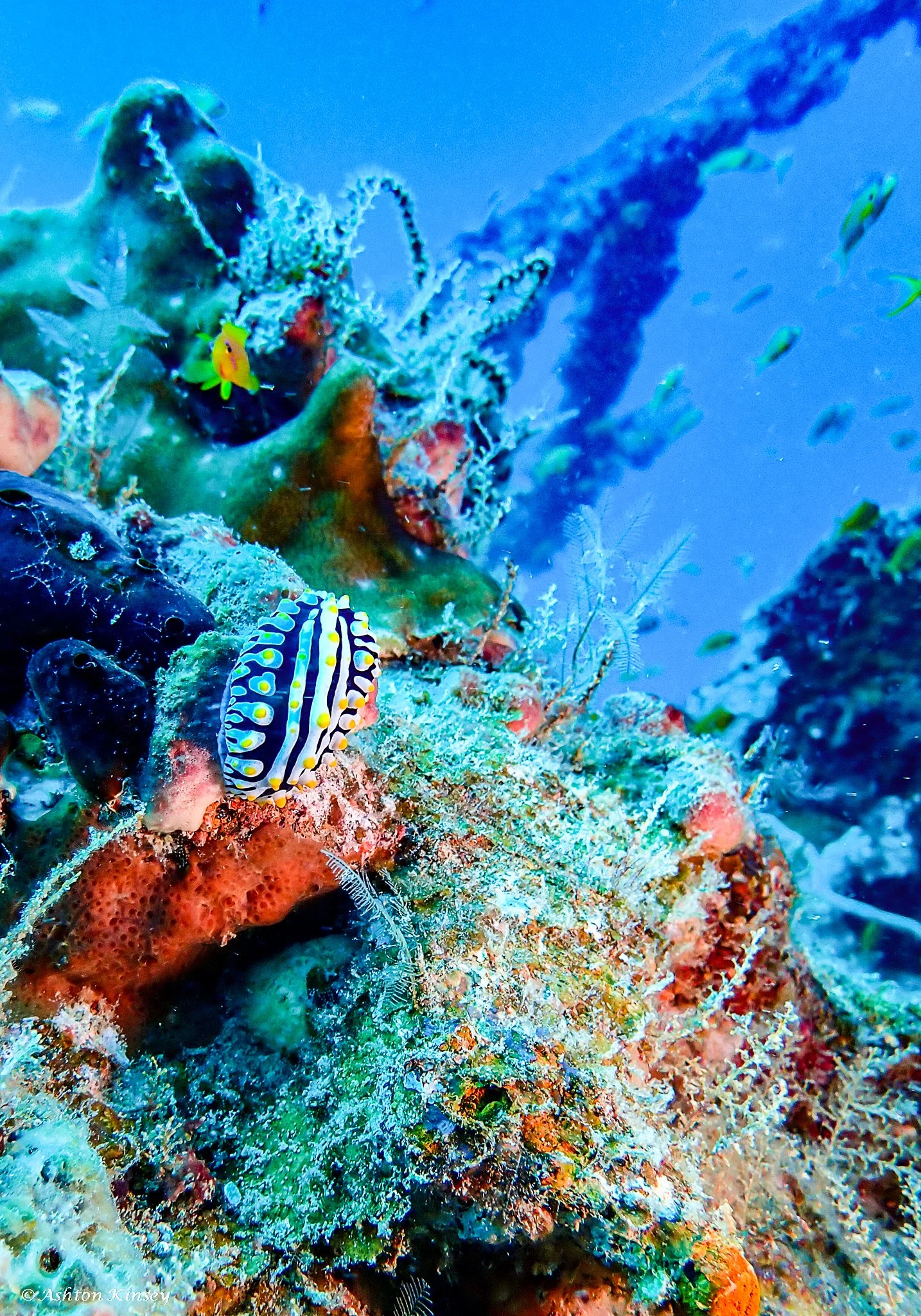Kuda Giri Wreck-8.jpg