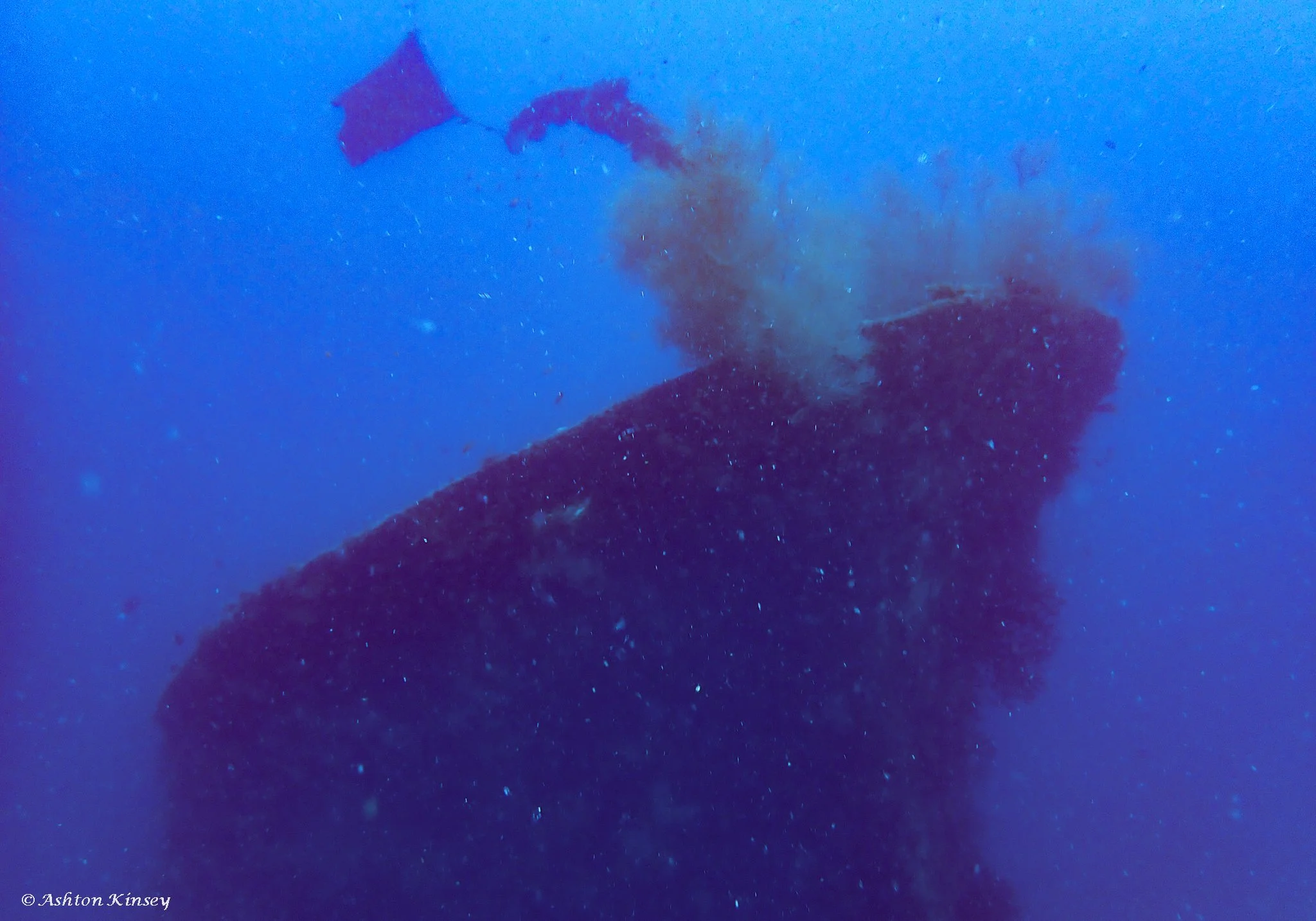Kuda Giri Wreck-11.jpg