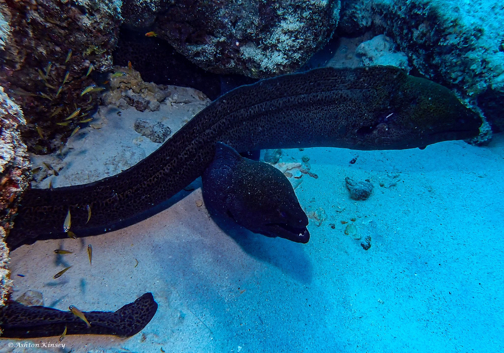 Fish Tank-5.jpg