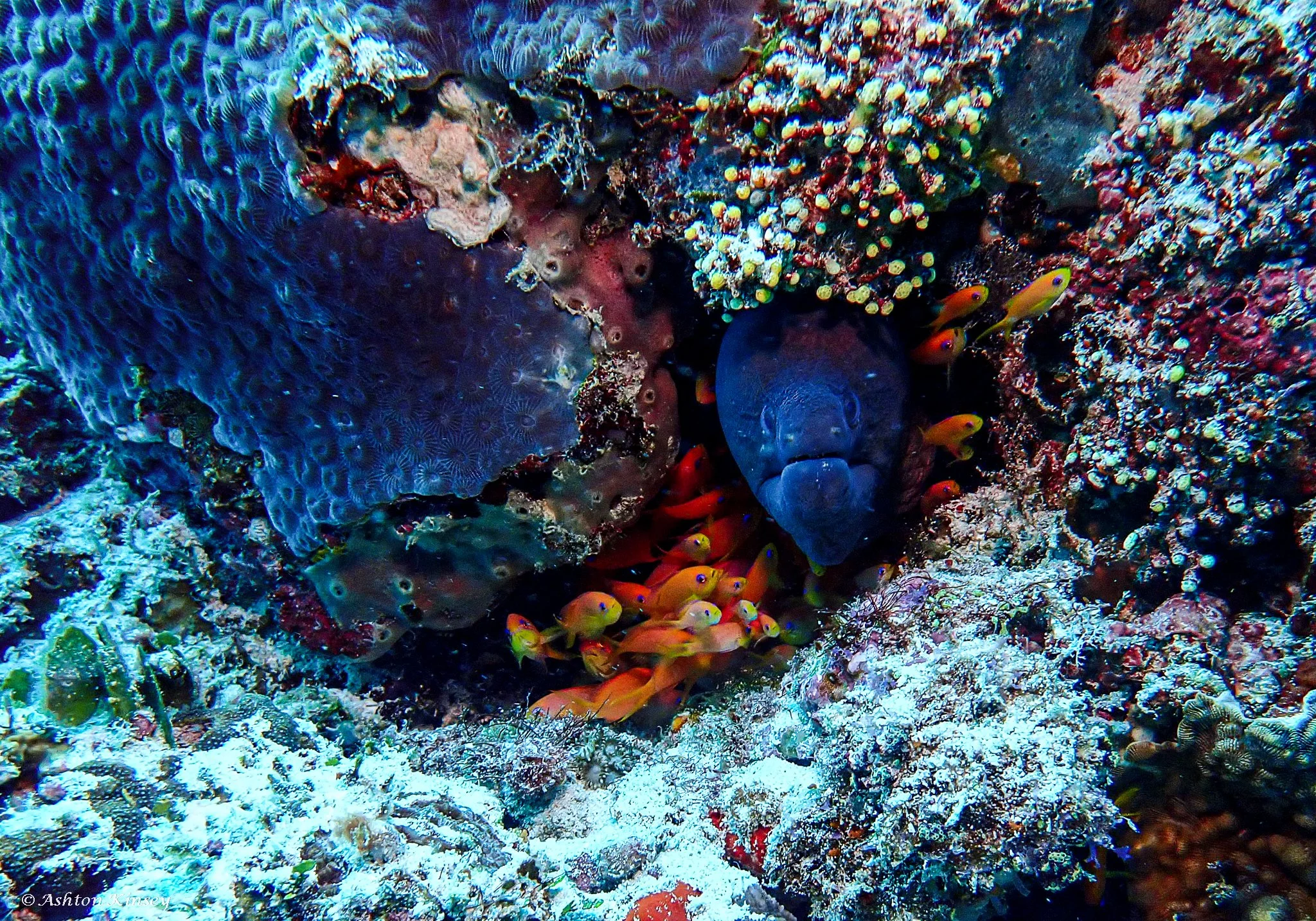 Fish Tank-9.jpg