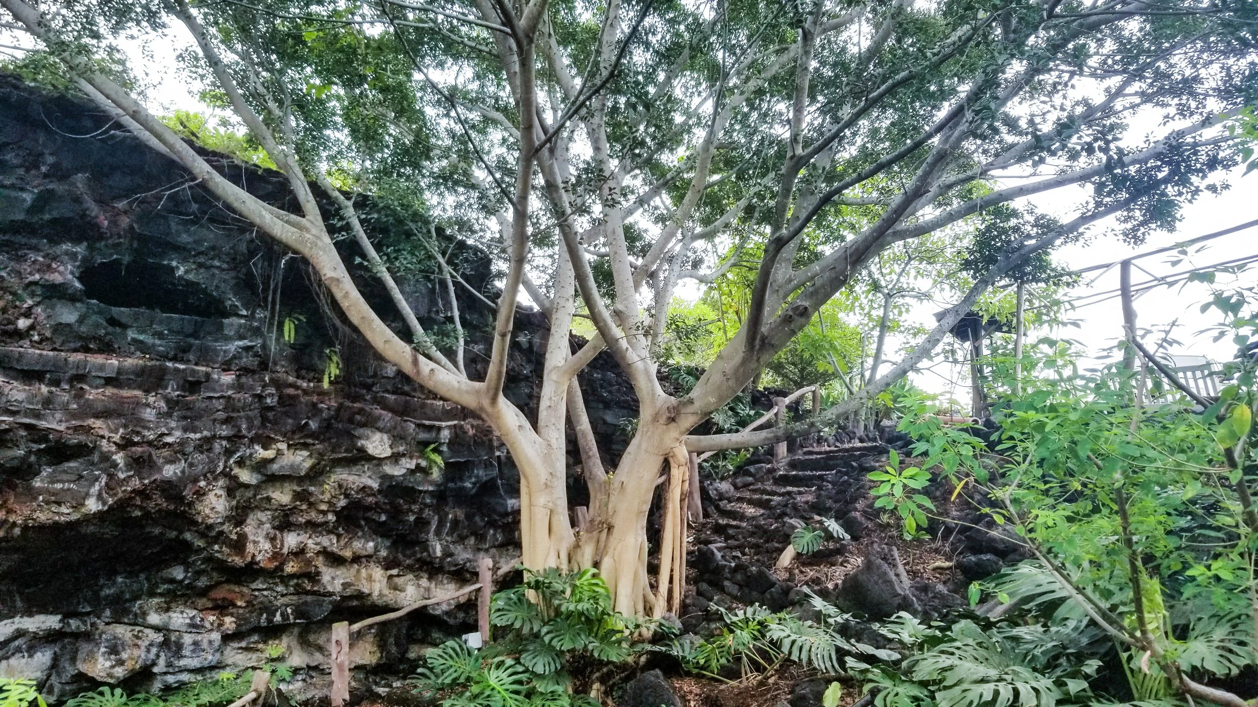 Kula Kai Cave-2.jpg