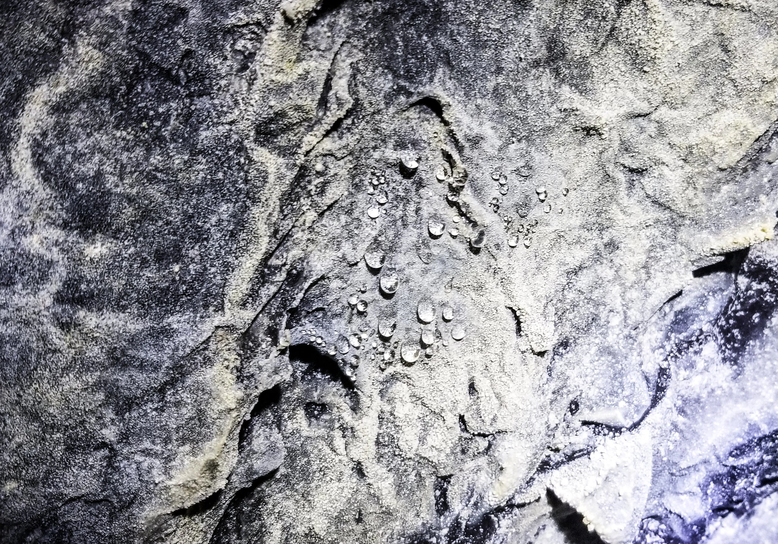 Kula Kai Cave-10.jpg