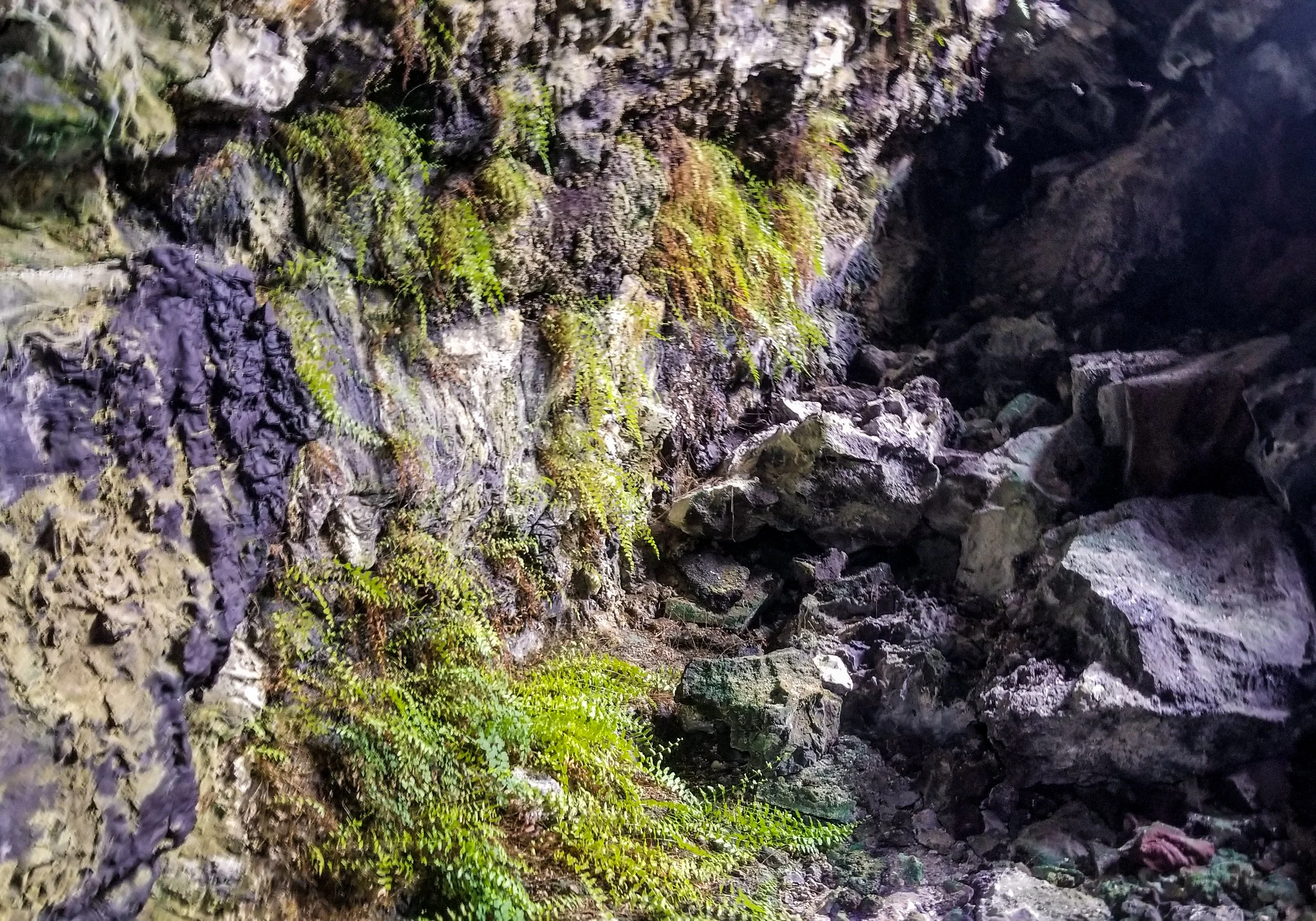 Kula Kai Cave-17.jpg