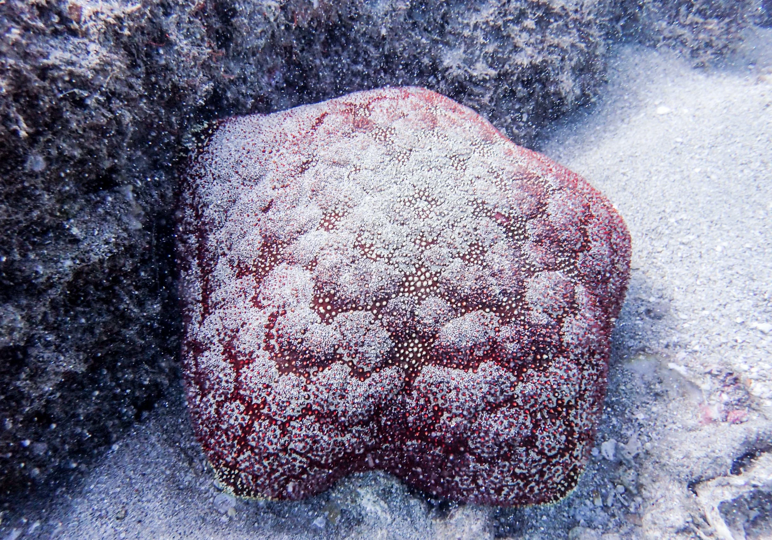 Airport Beach-6.jpg