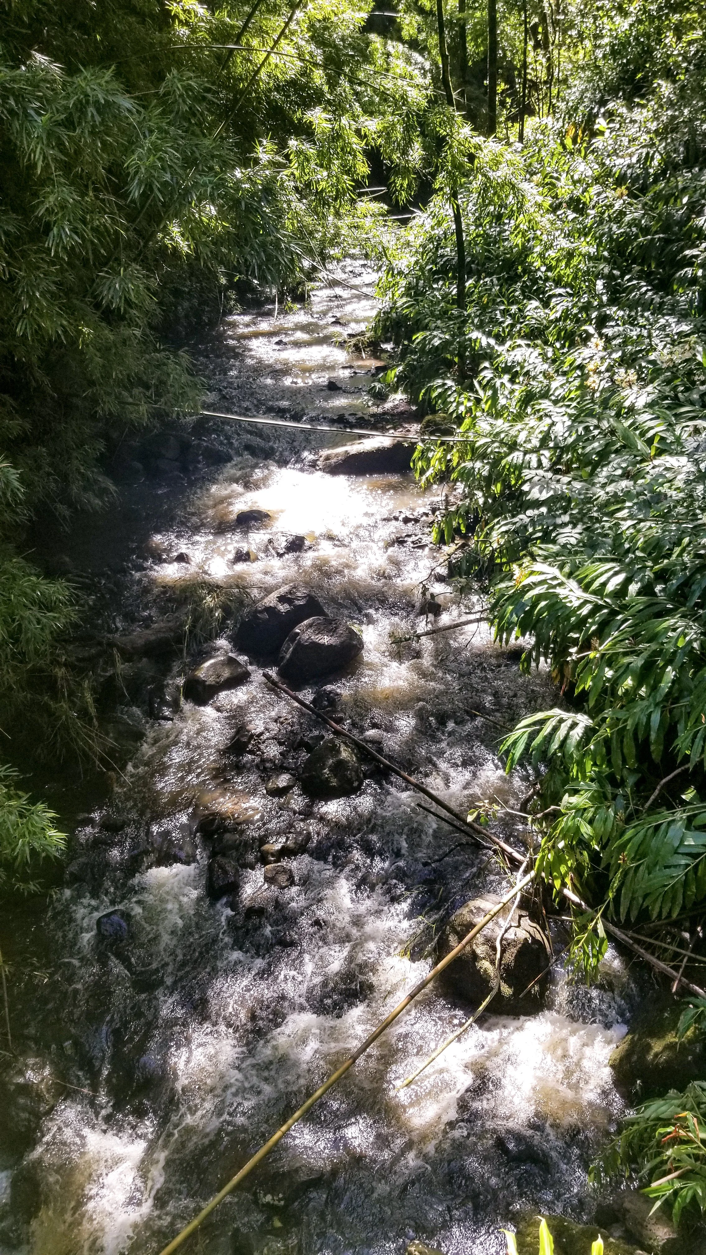 Road to Hana.jpg