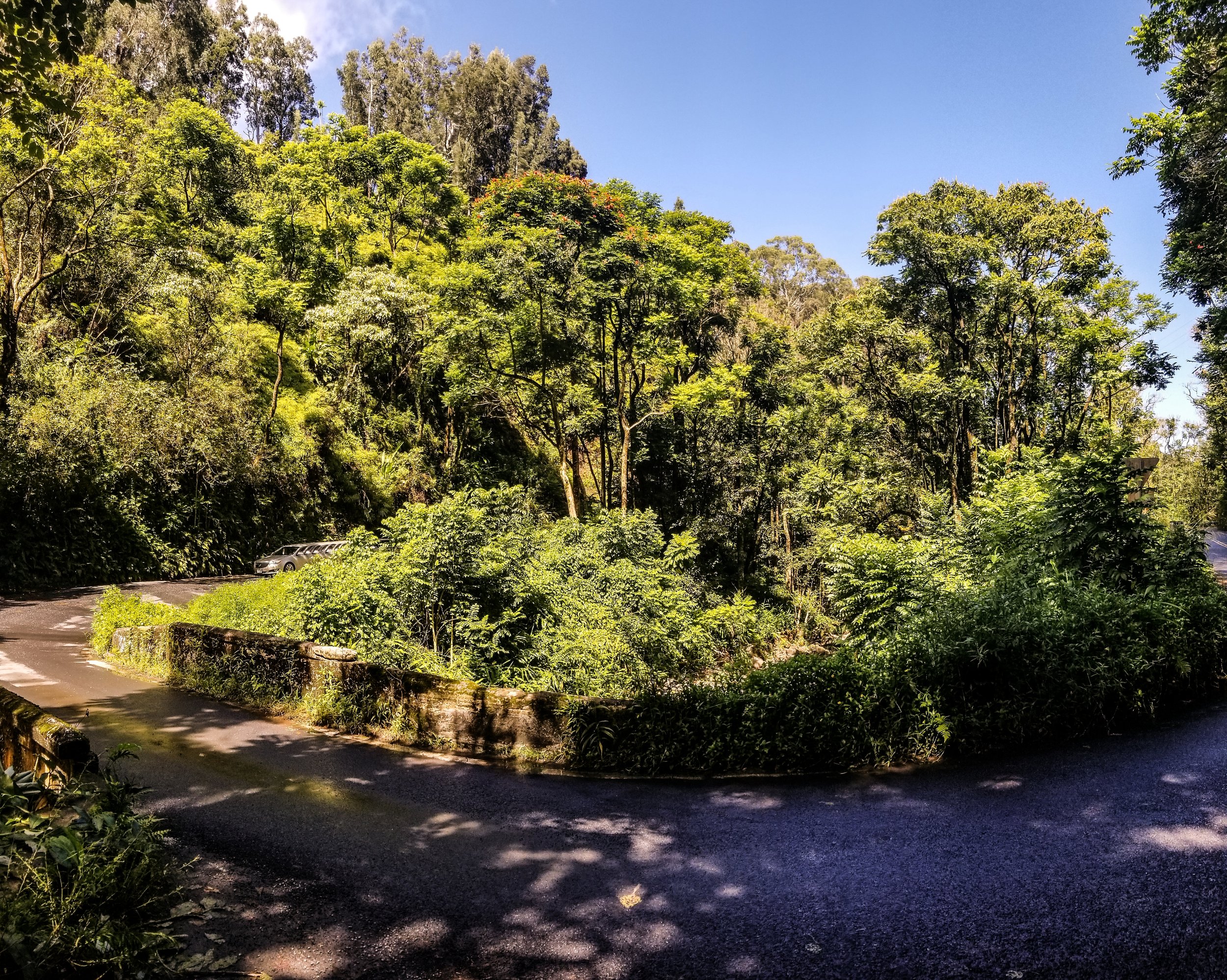 Road to Hana-3.jpg