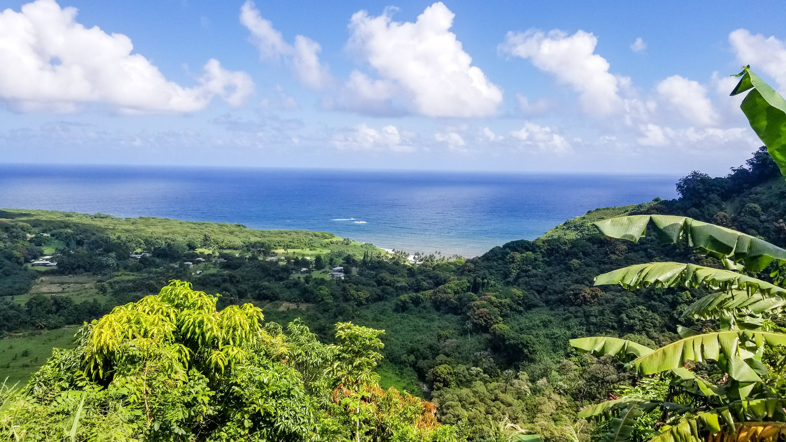 Road to Hana-6.jpg