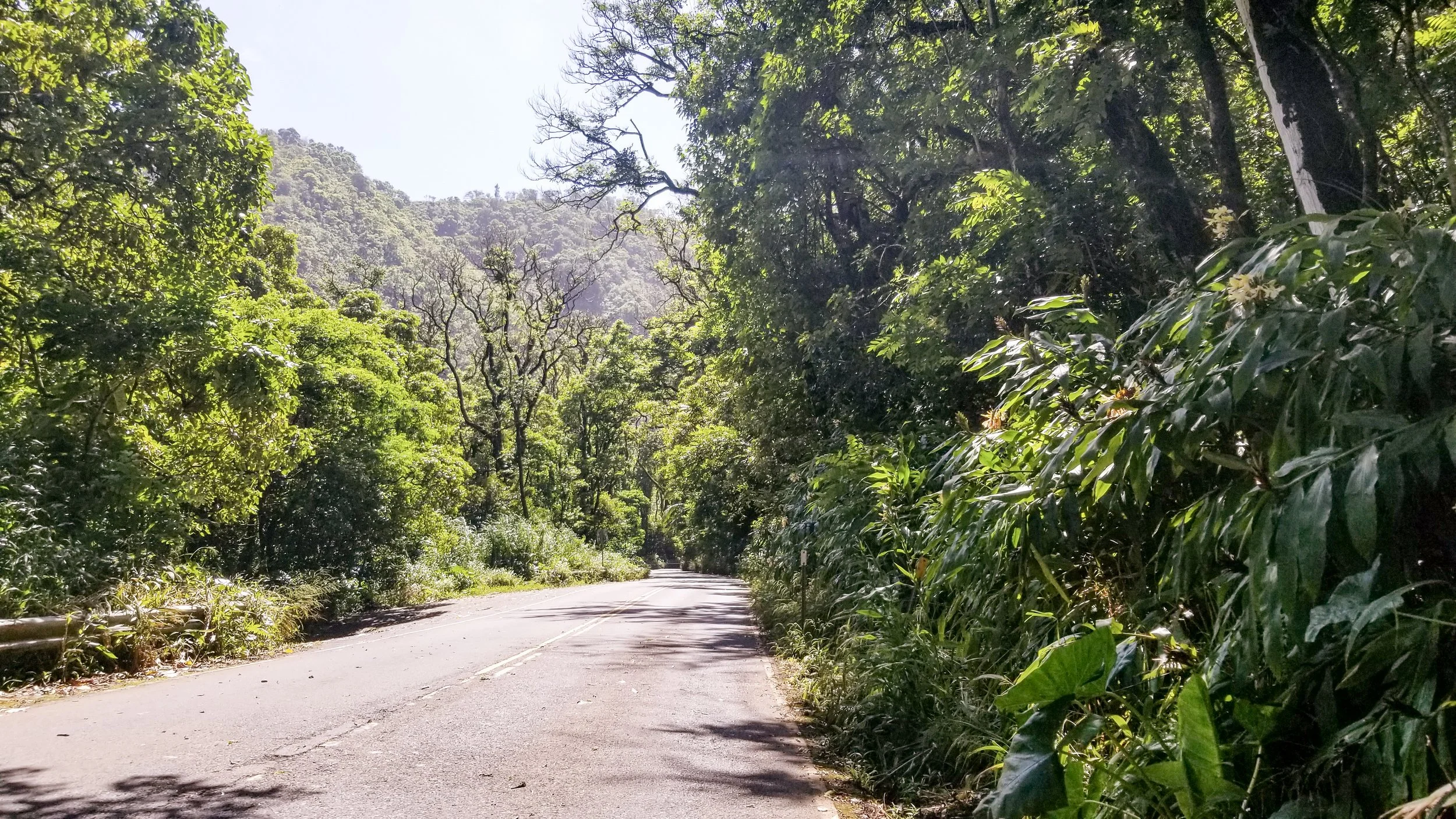Road to Hana-5.jpg