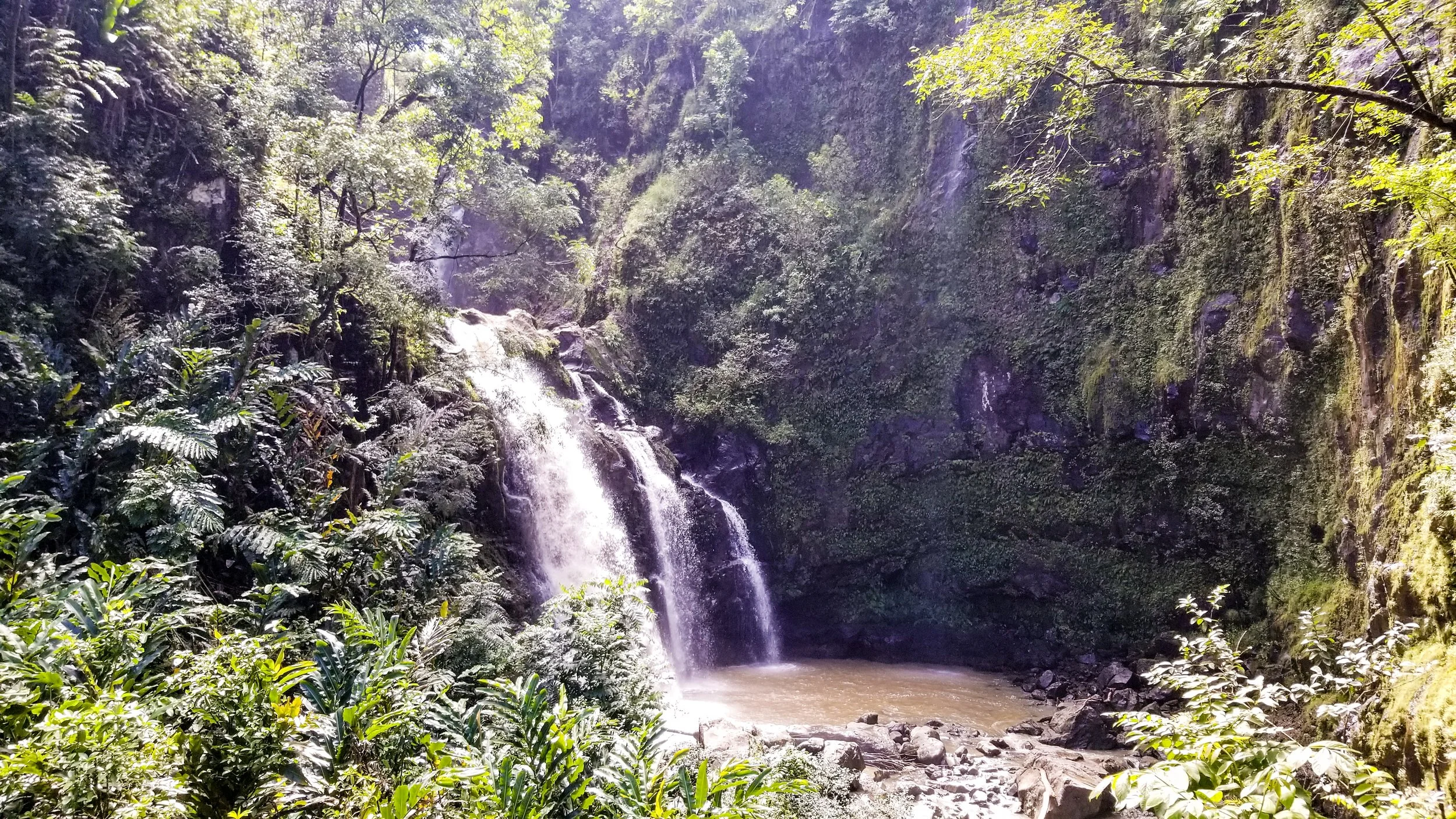 Road to Hana-7.jpg