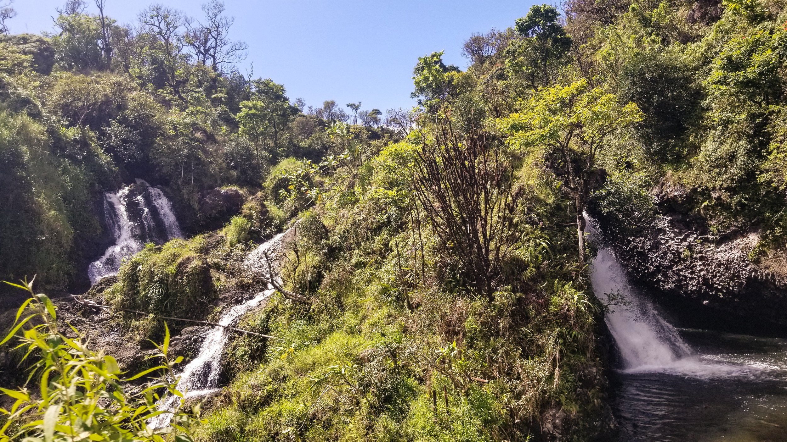 Road to Hana-8.jpg