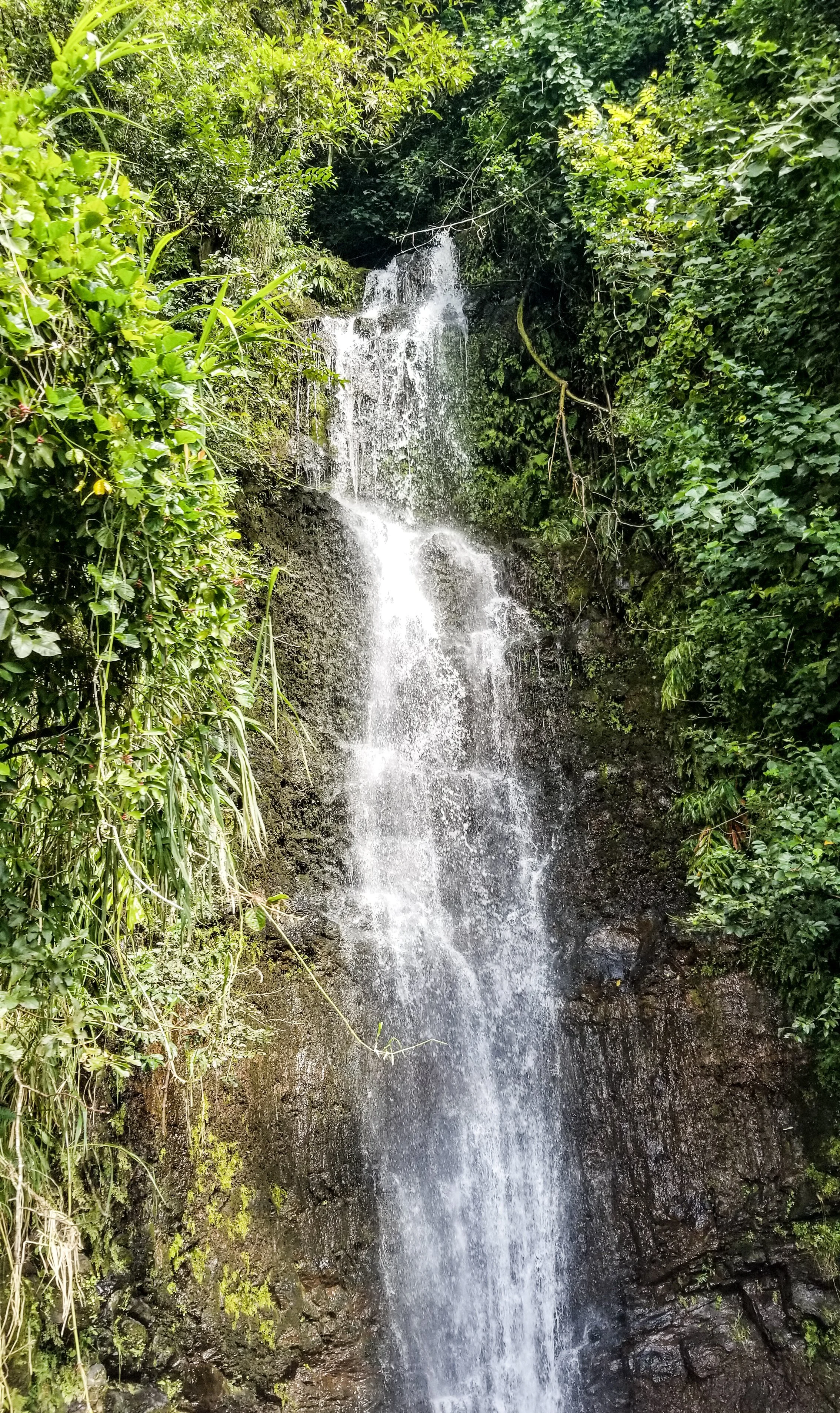 Road to Hana-10.jpg