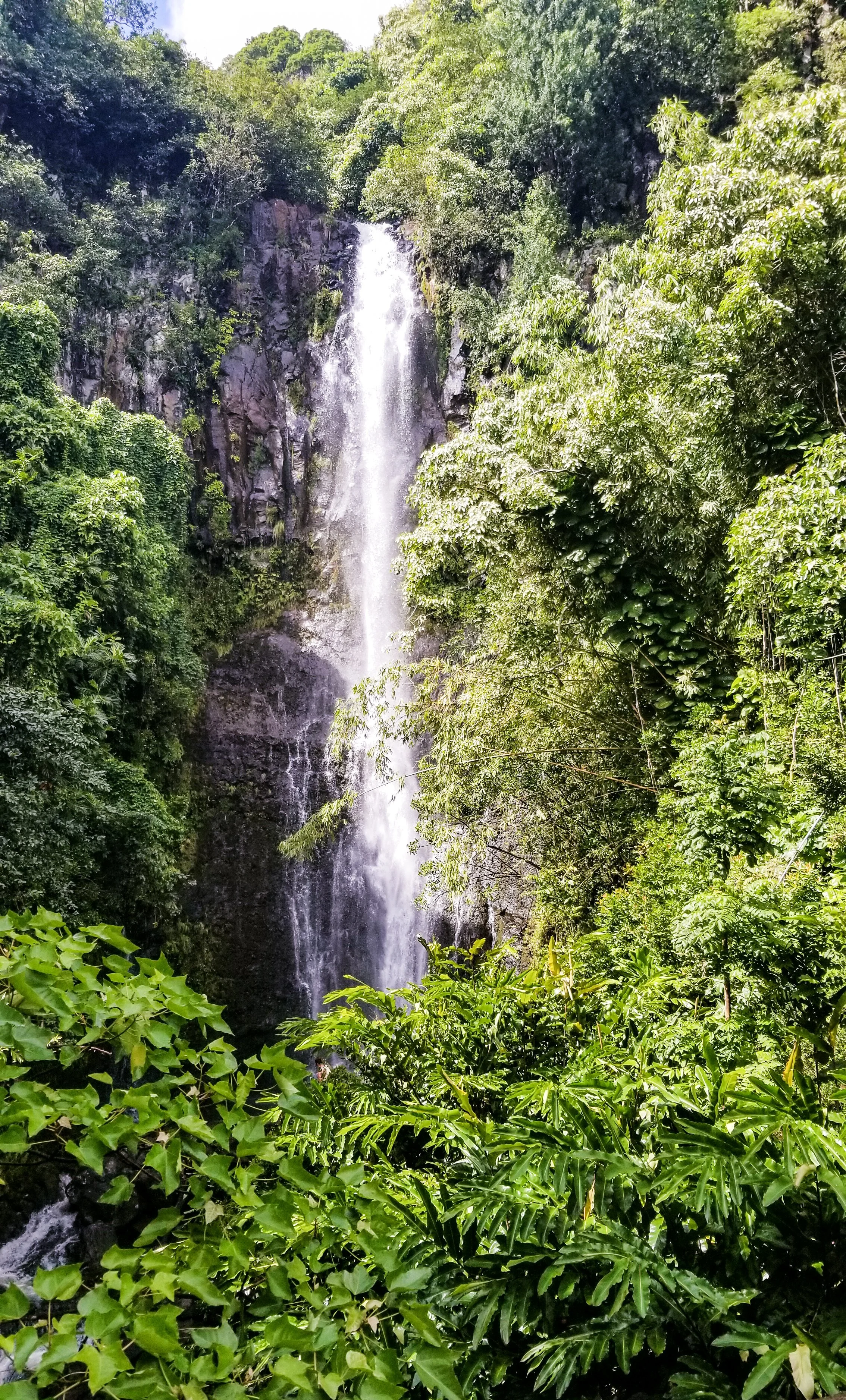 Road to Hana-11.jpg
