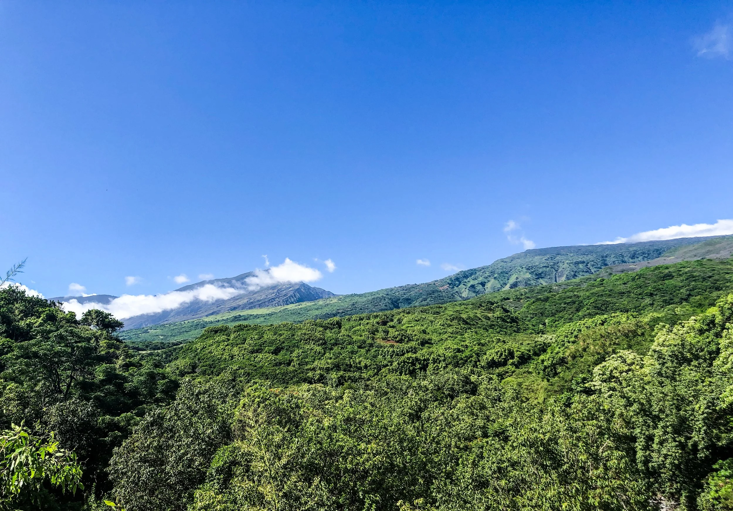 Road to Hana-12.jpg