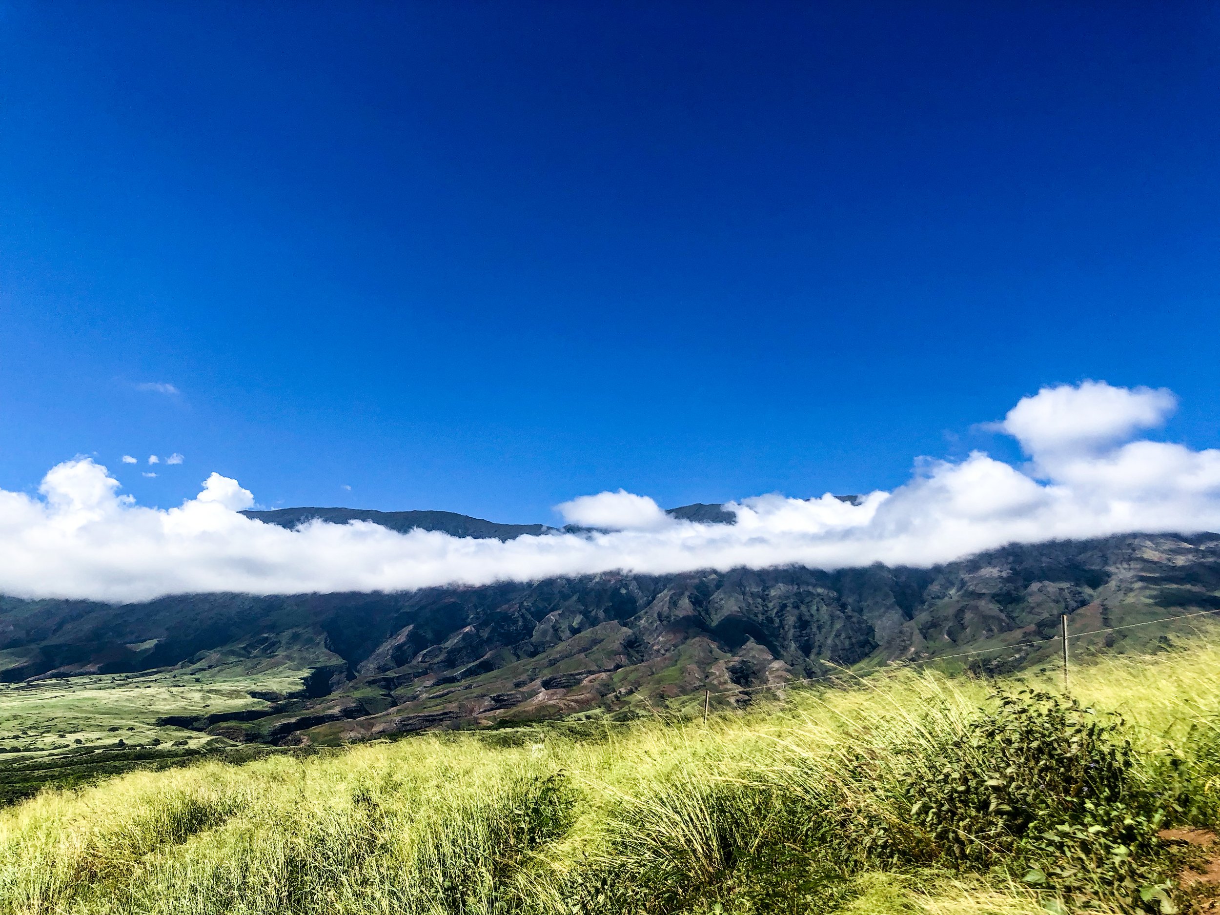 Road to Hana-14.jpg