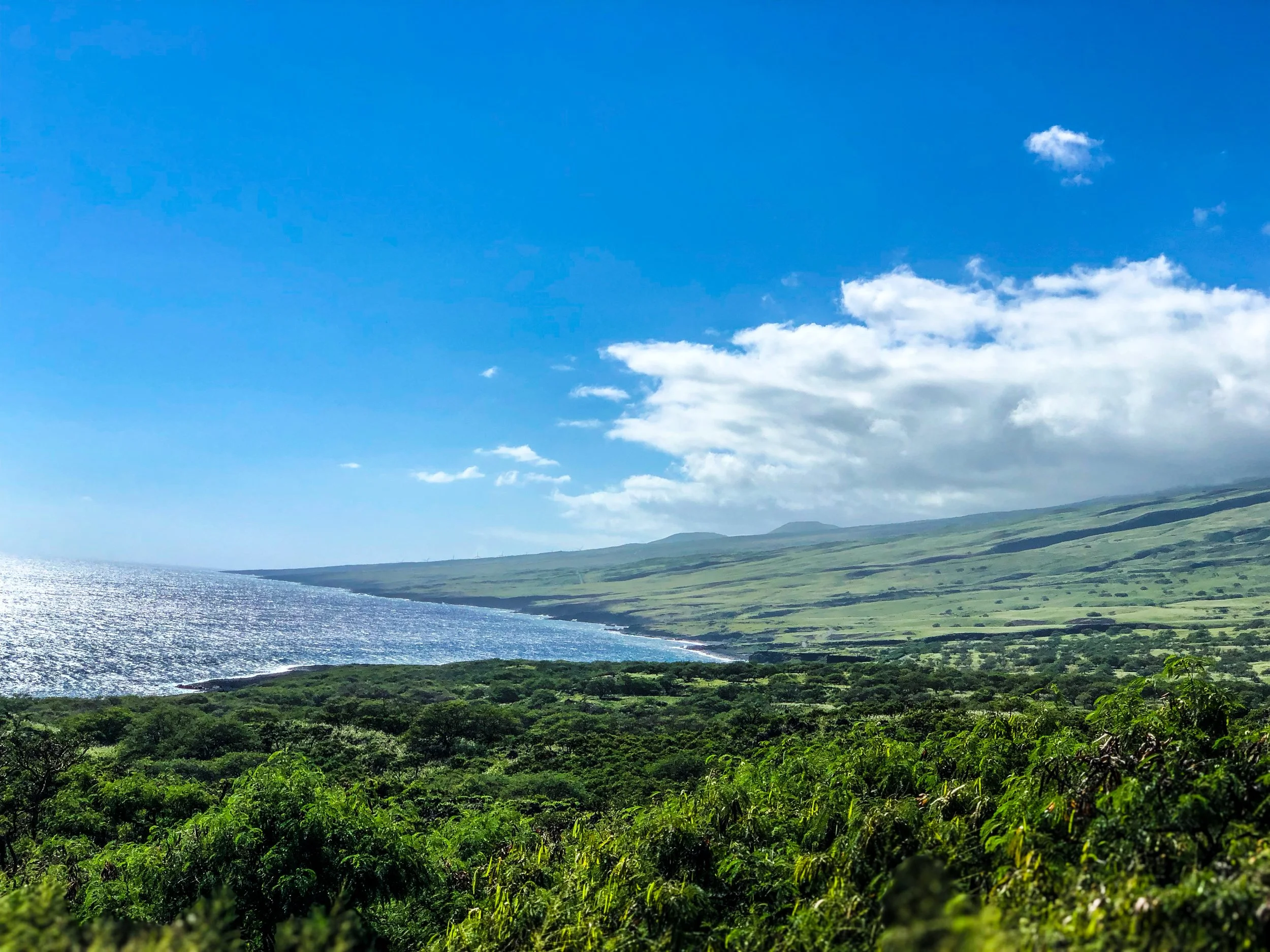 Road to Hana-15.jpg