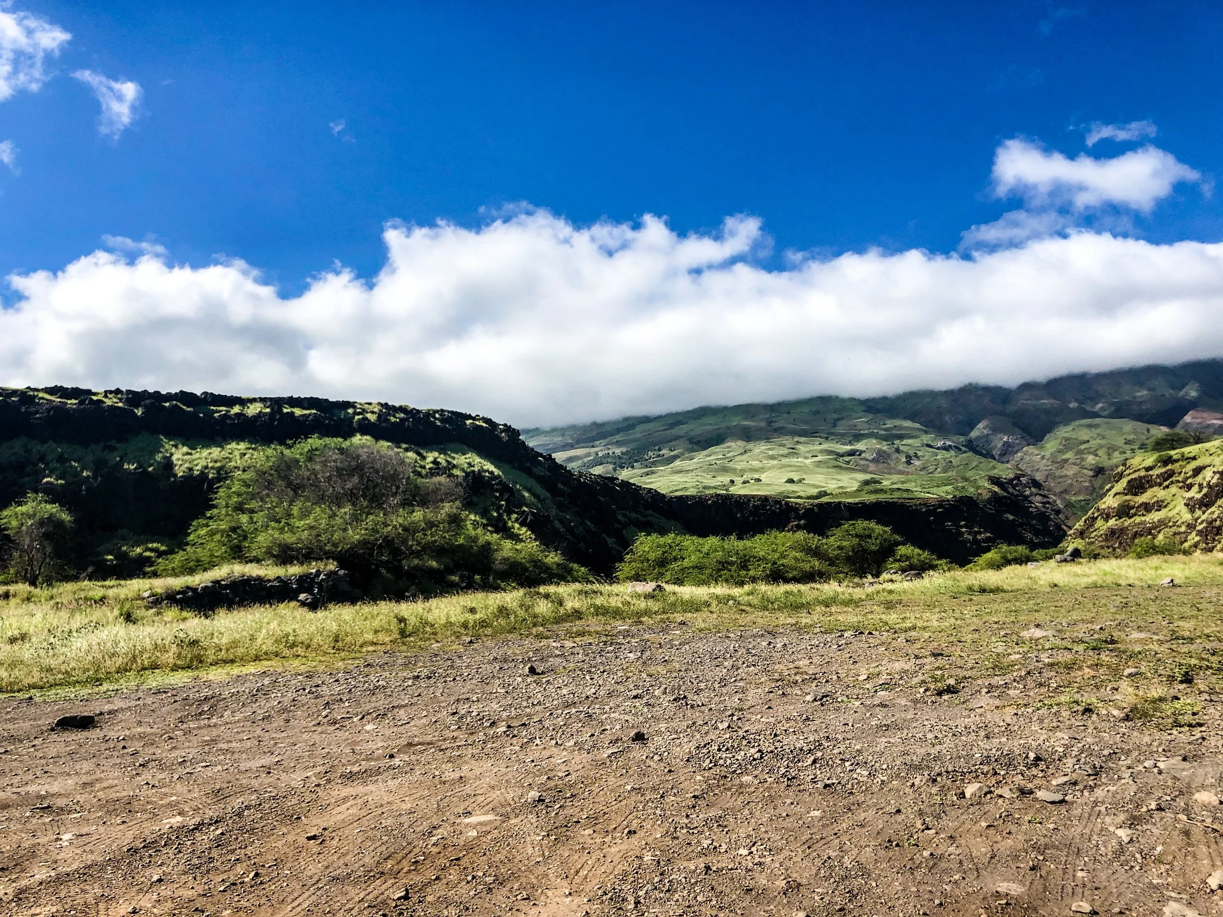 Road to Hana-16.jpg