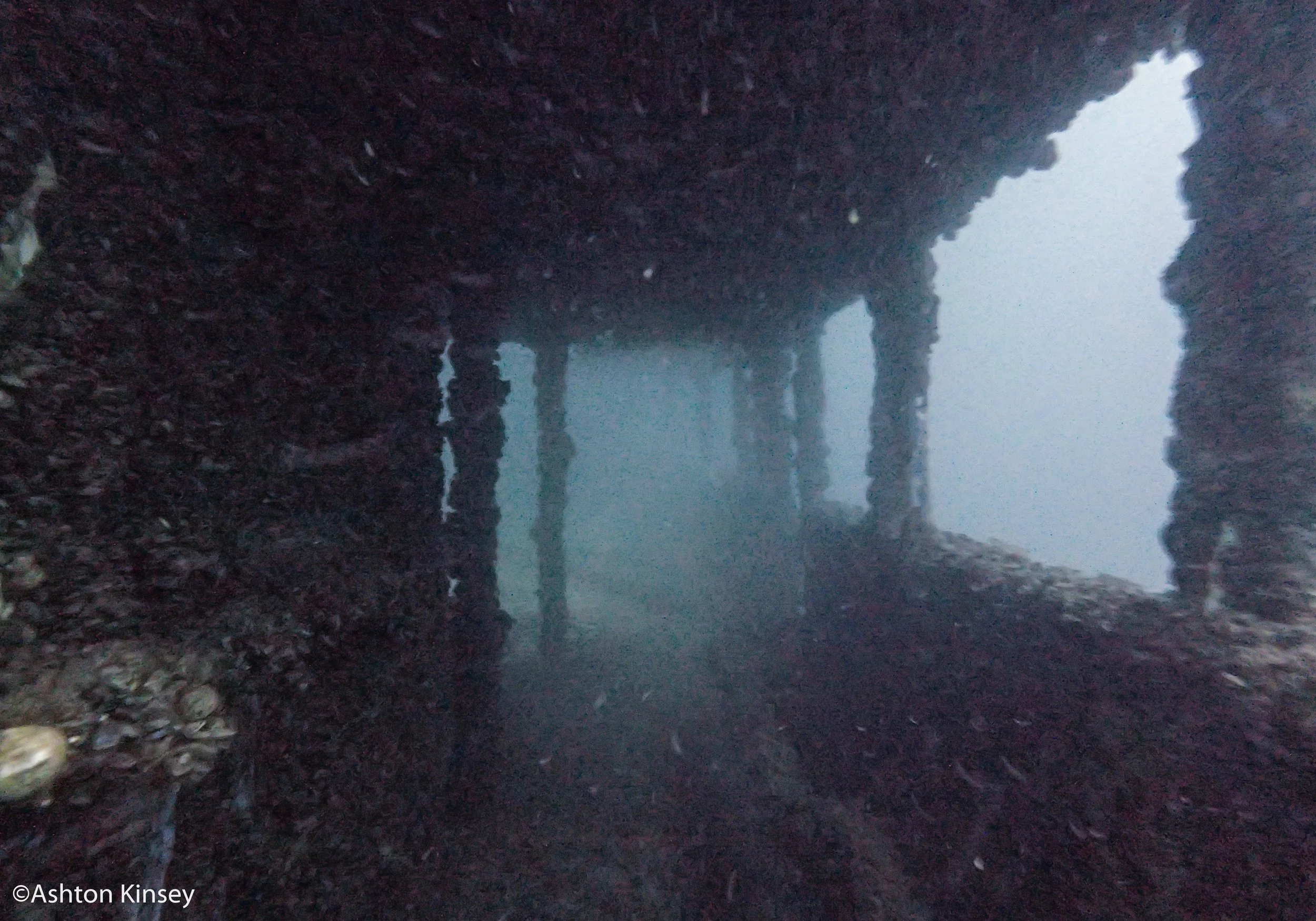 bucc-2.jpg