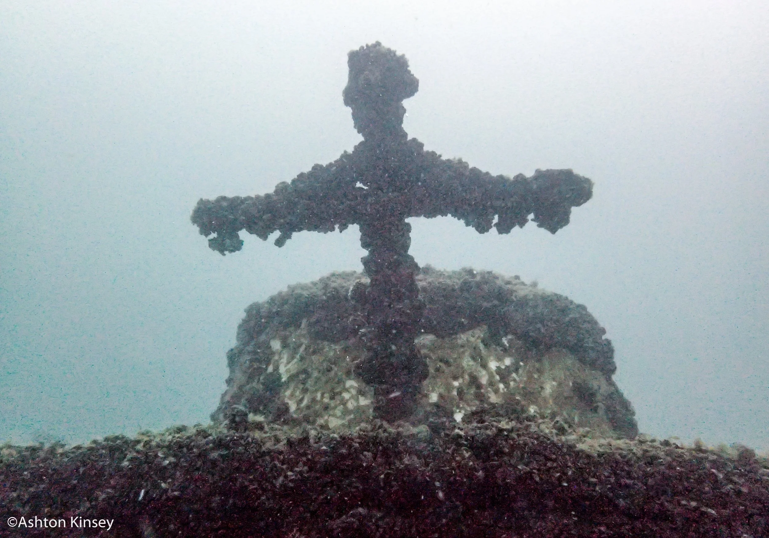 bucc-4.jpg