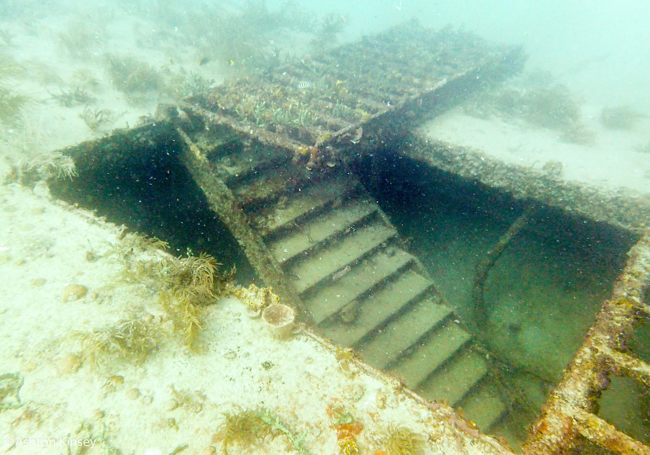 Ancient Mariner 2.jpg