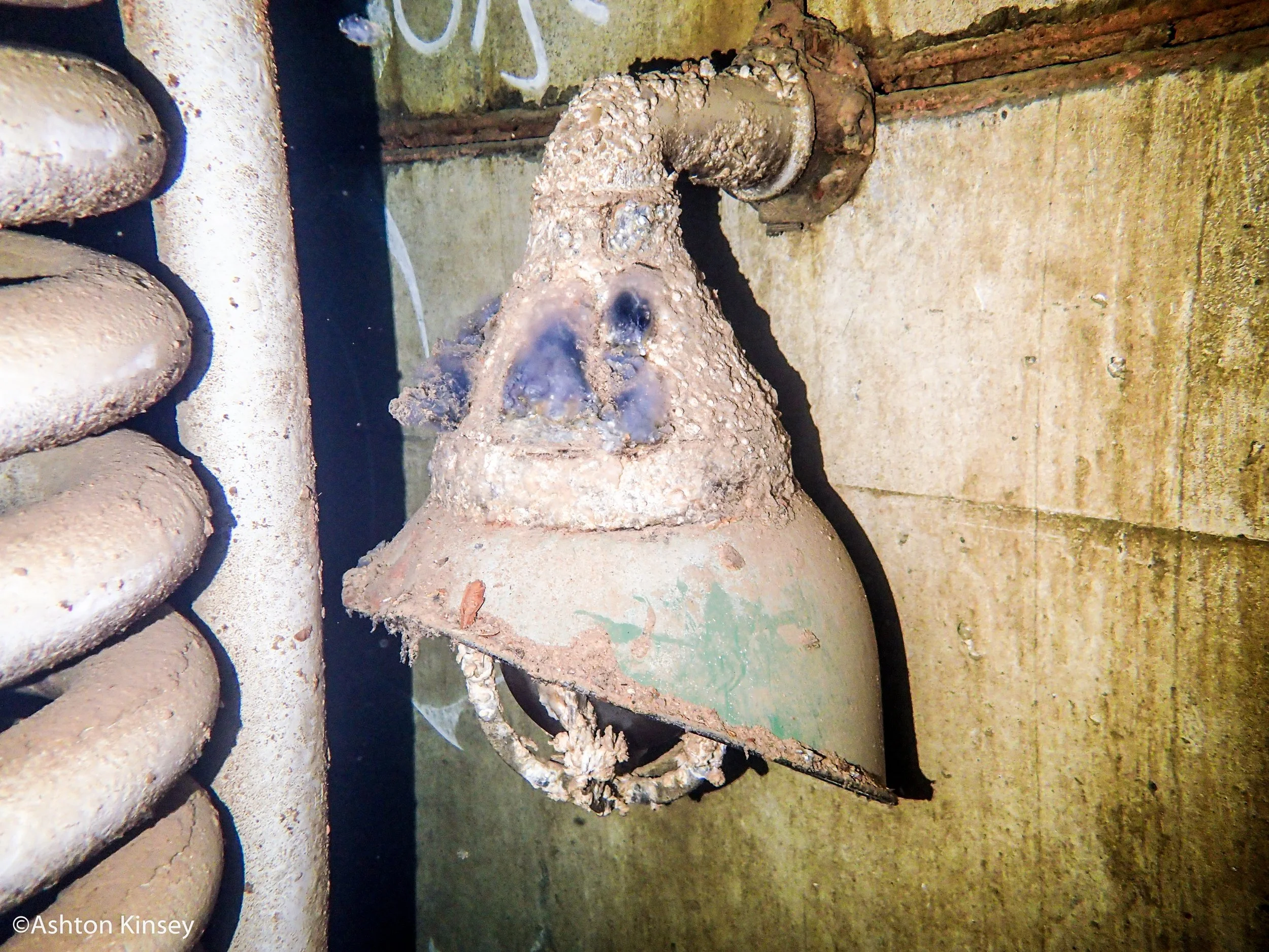 light and sponge_.jpg