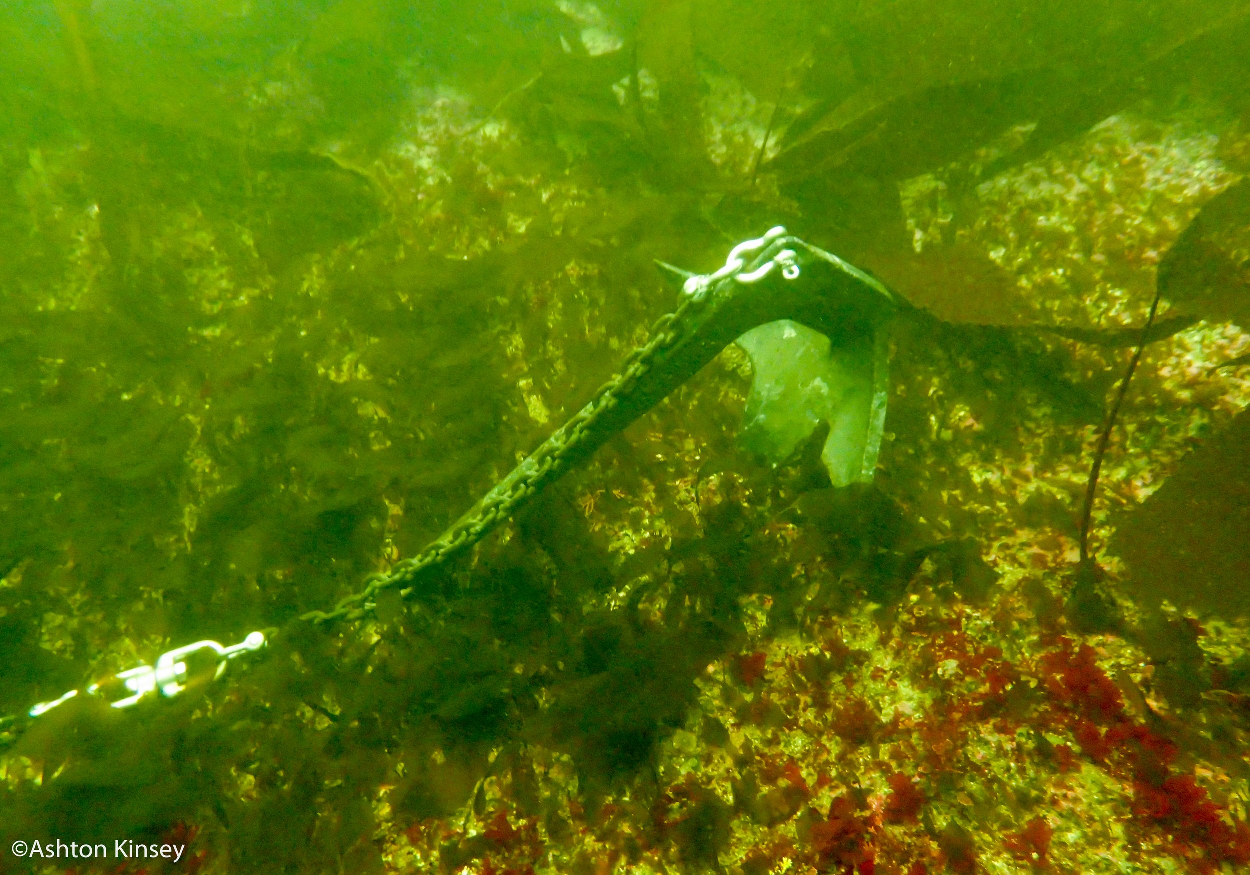 anchor.jpg