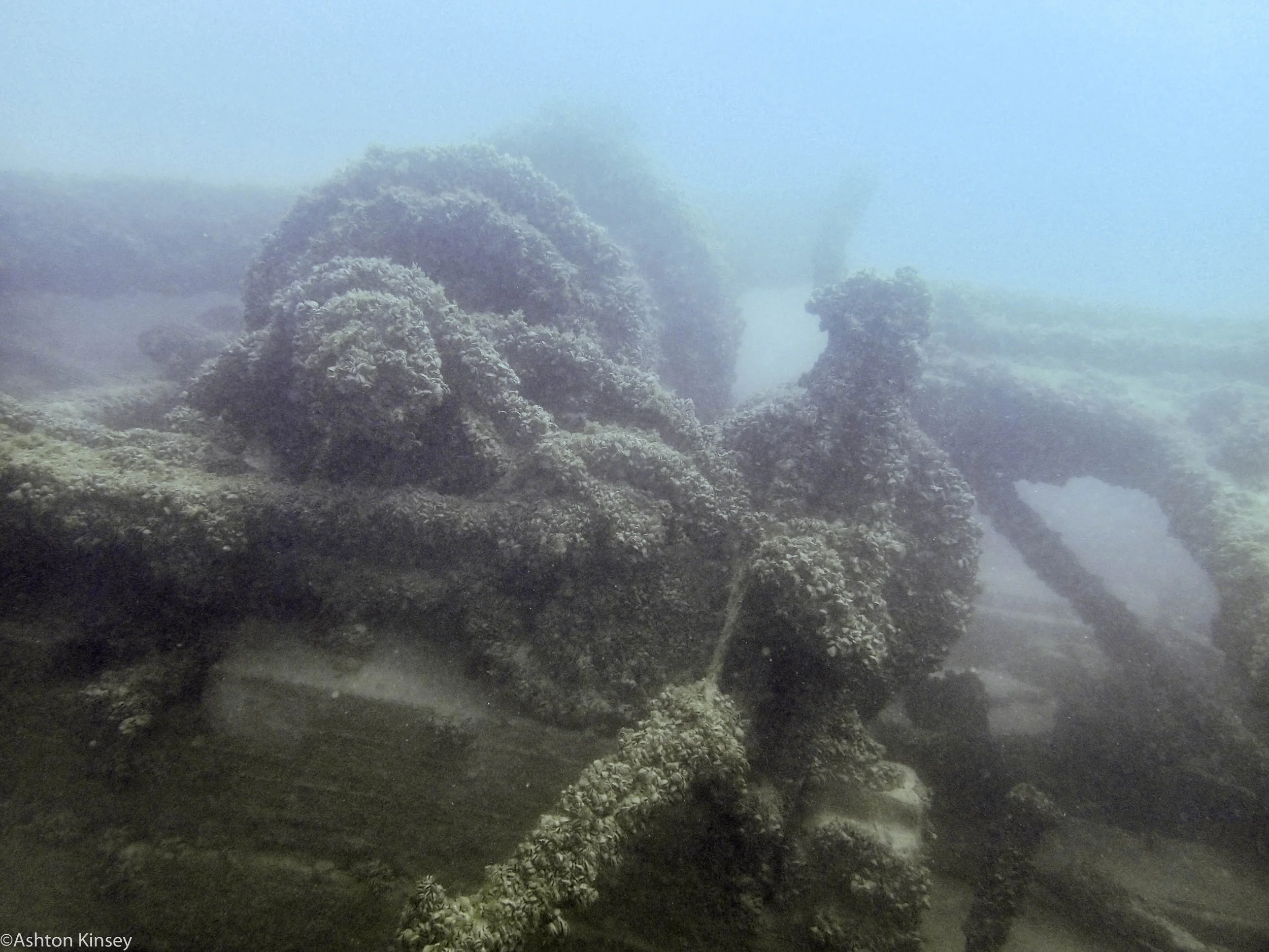 Illinois Wreckage_.jpg