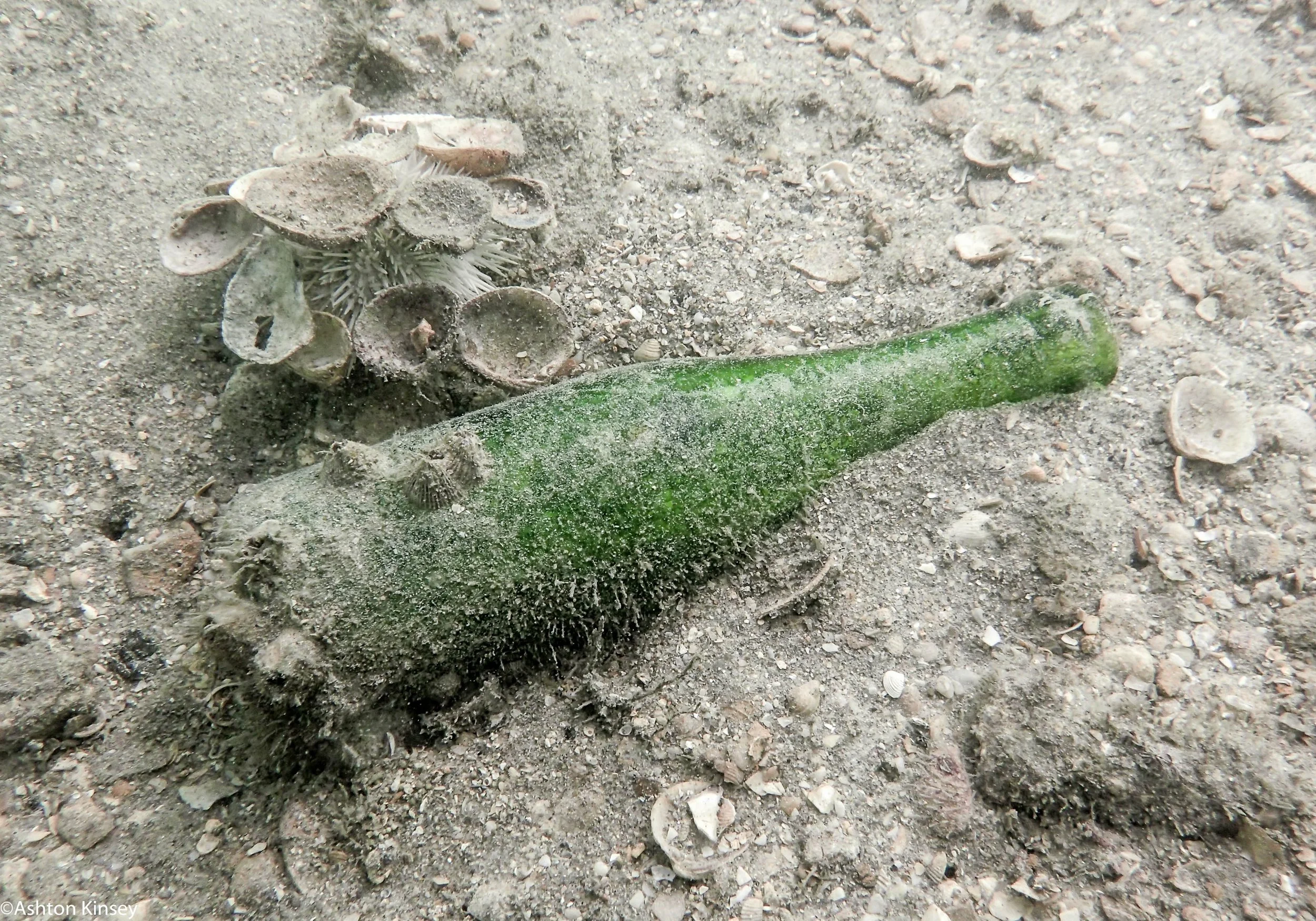 BHB Glass Bottle.jpg