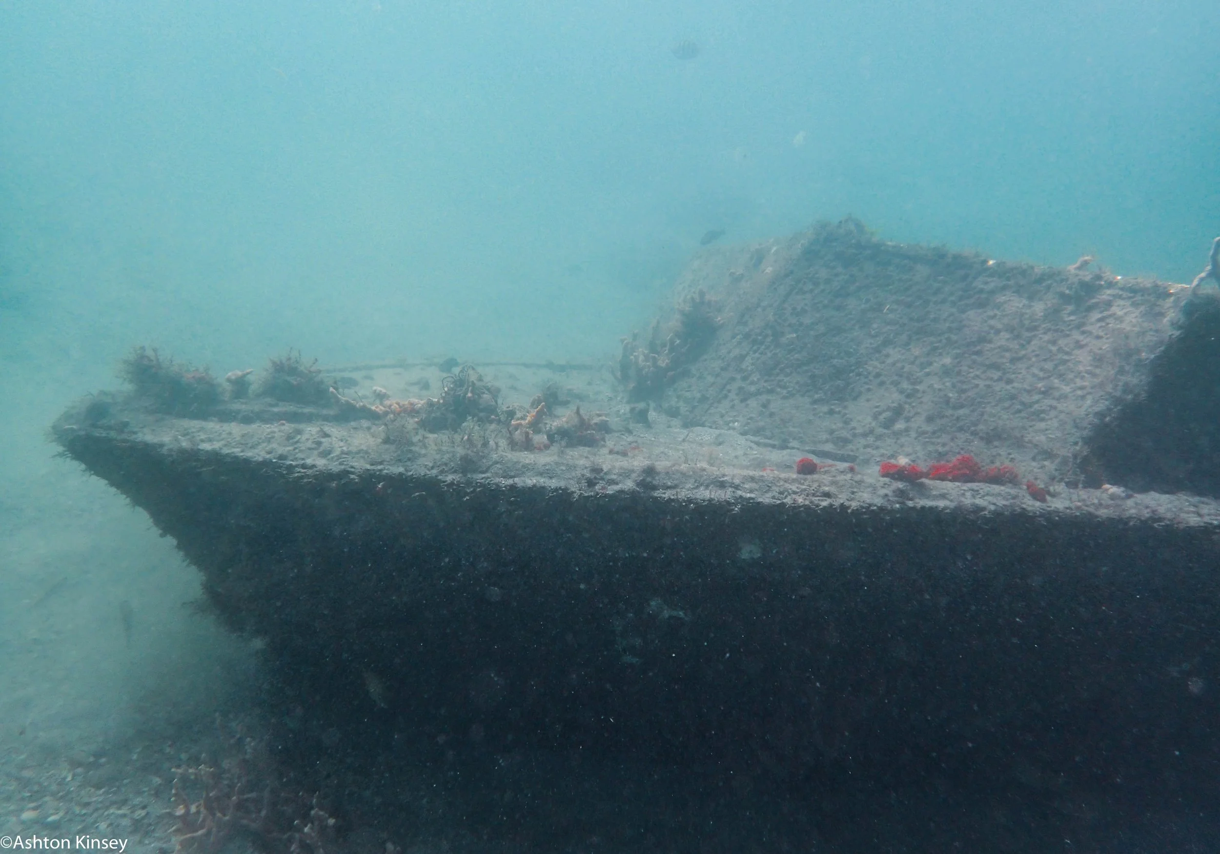 BHB Wreck.jpg