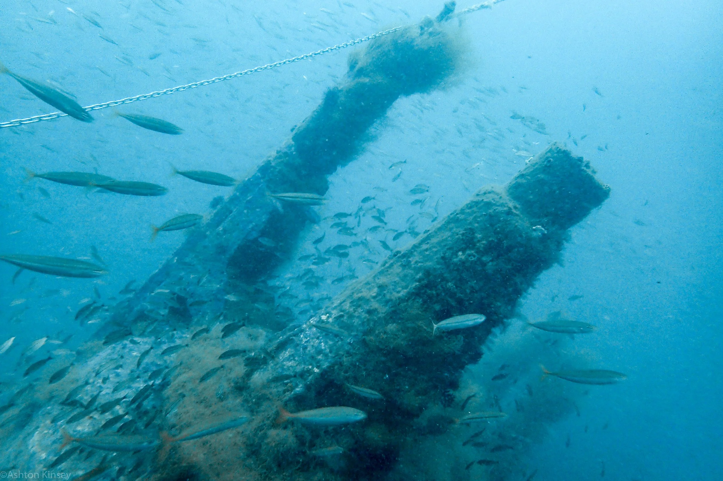U-352 Conning Tower.jpg