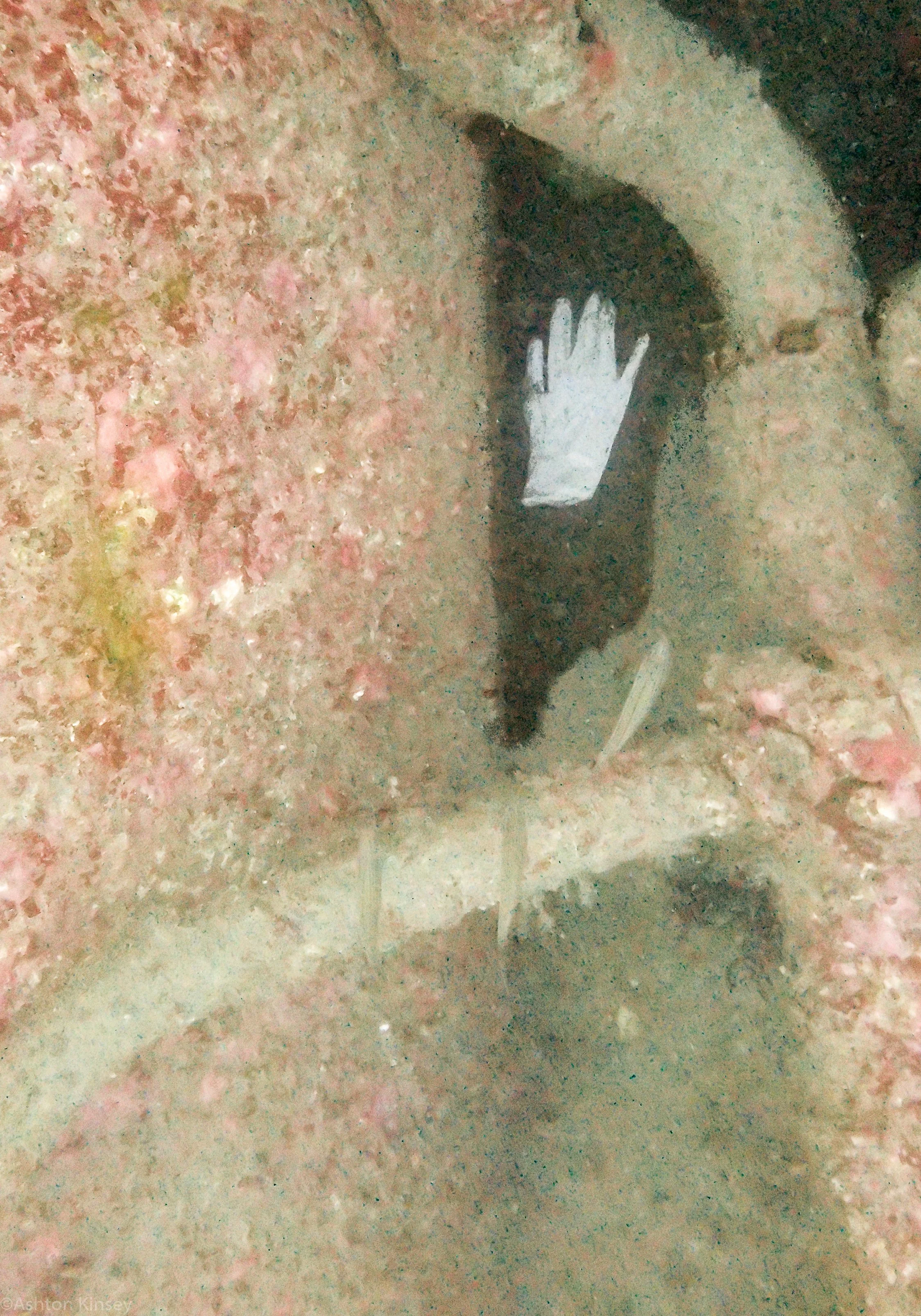 Gloves.jpg