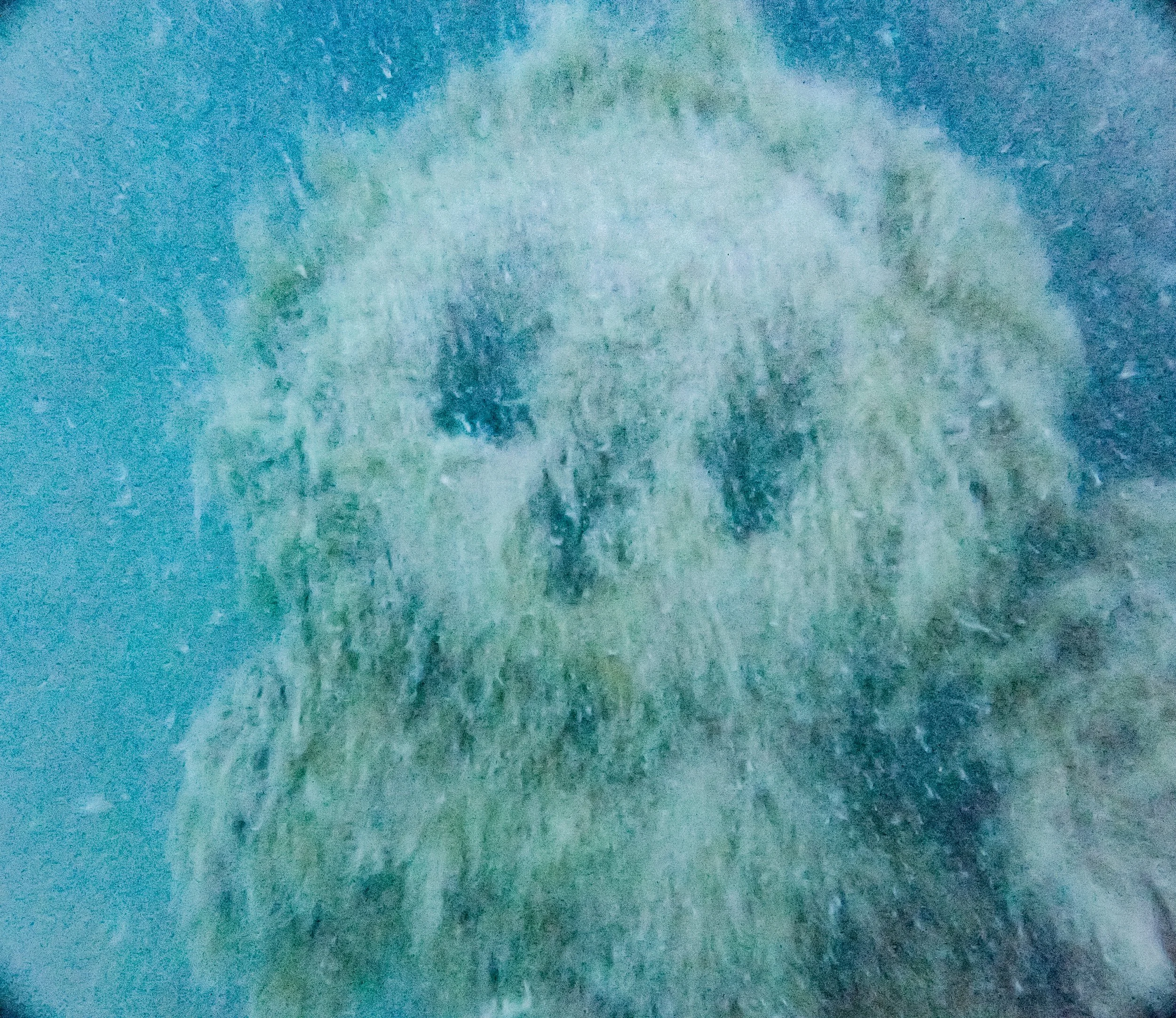 wells burt july 2015.jpg