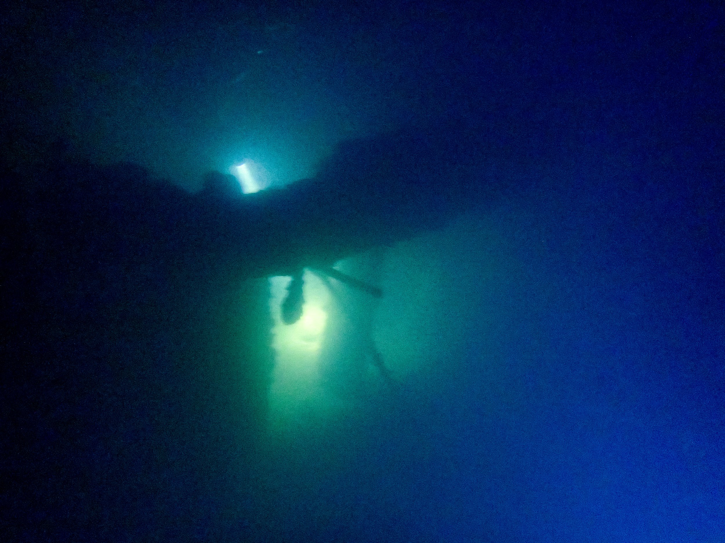 Wings of the wind july 2015-3.jpg