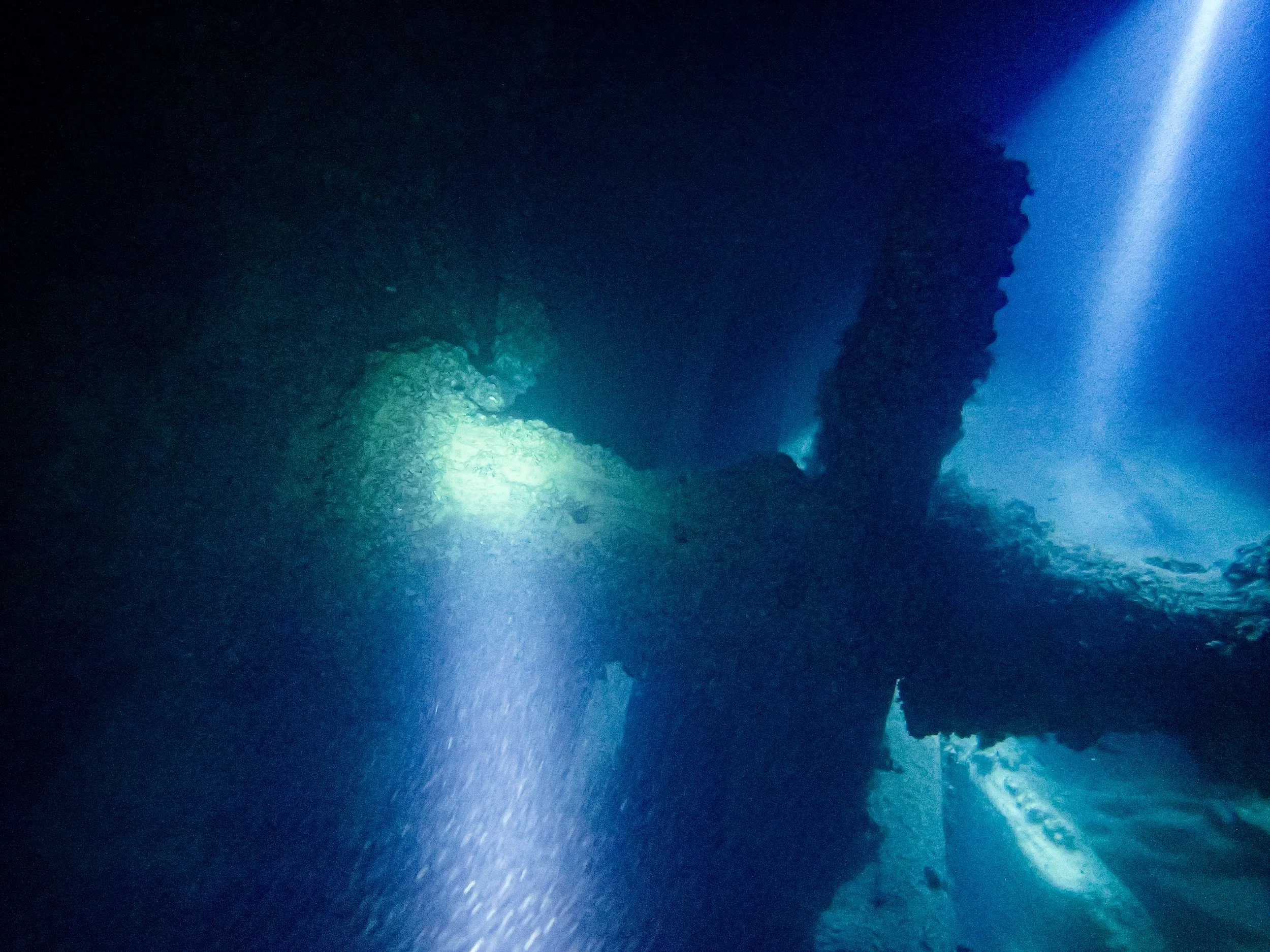 Wings of the wind august 2014-2.jpg