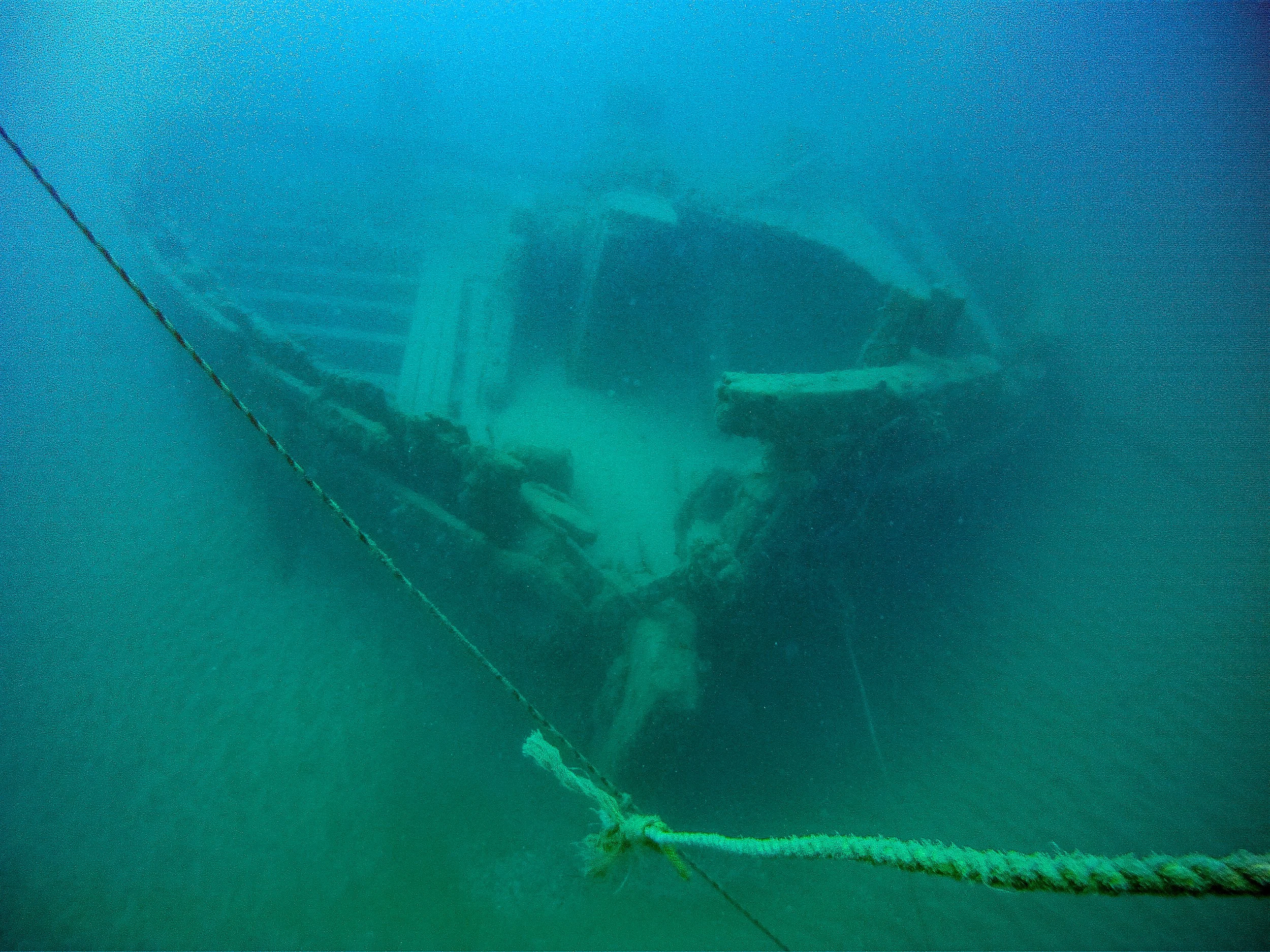 Wells burt July 2014.jpg