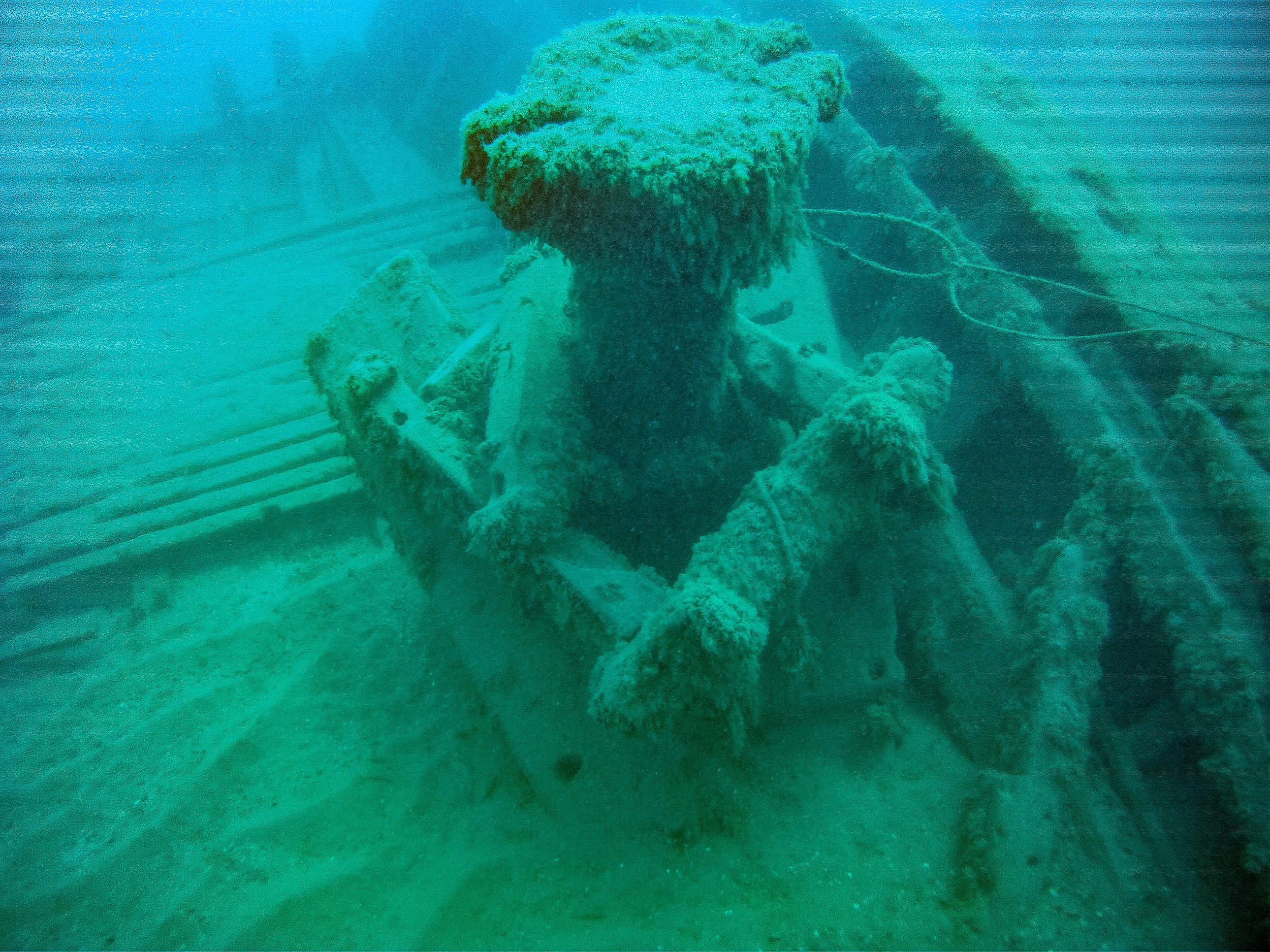 Wells burt July 2014-12.jpg
