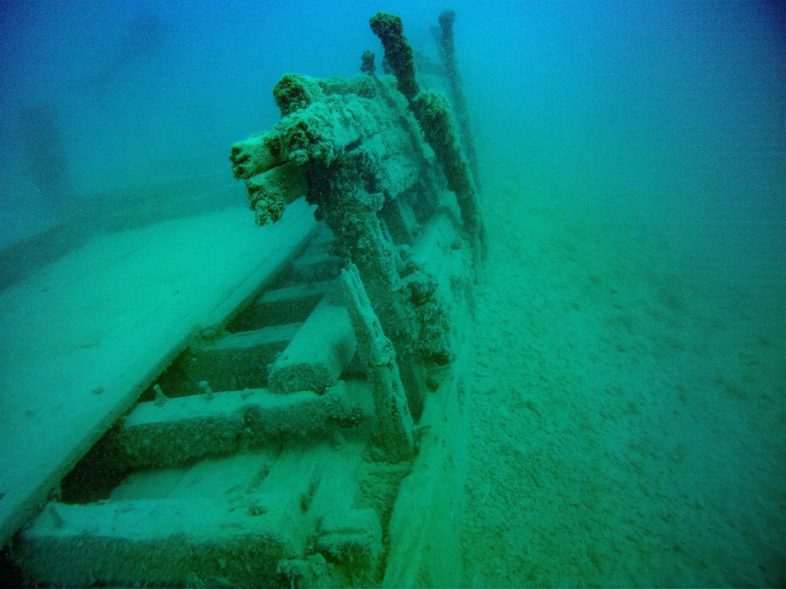 Wells burt July 2014-13.jpg