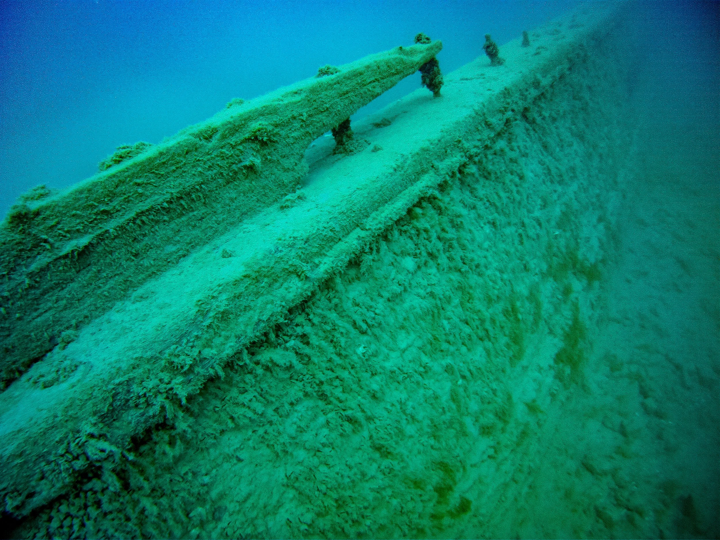 Wells burt July 2014-14.jpg