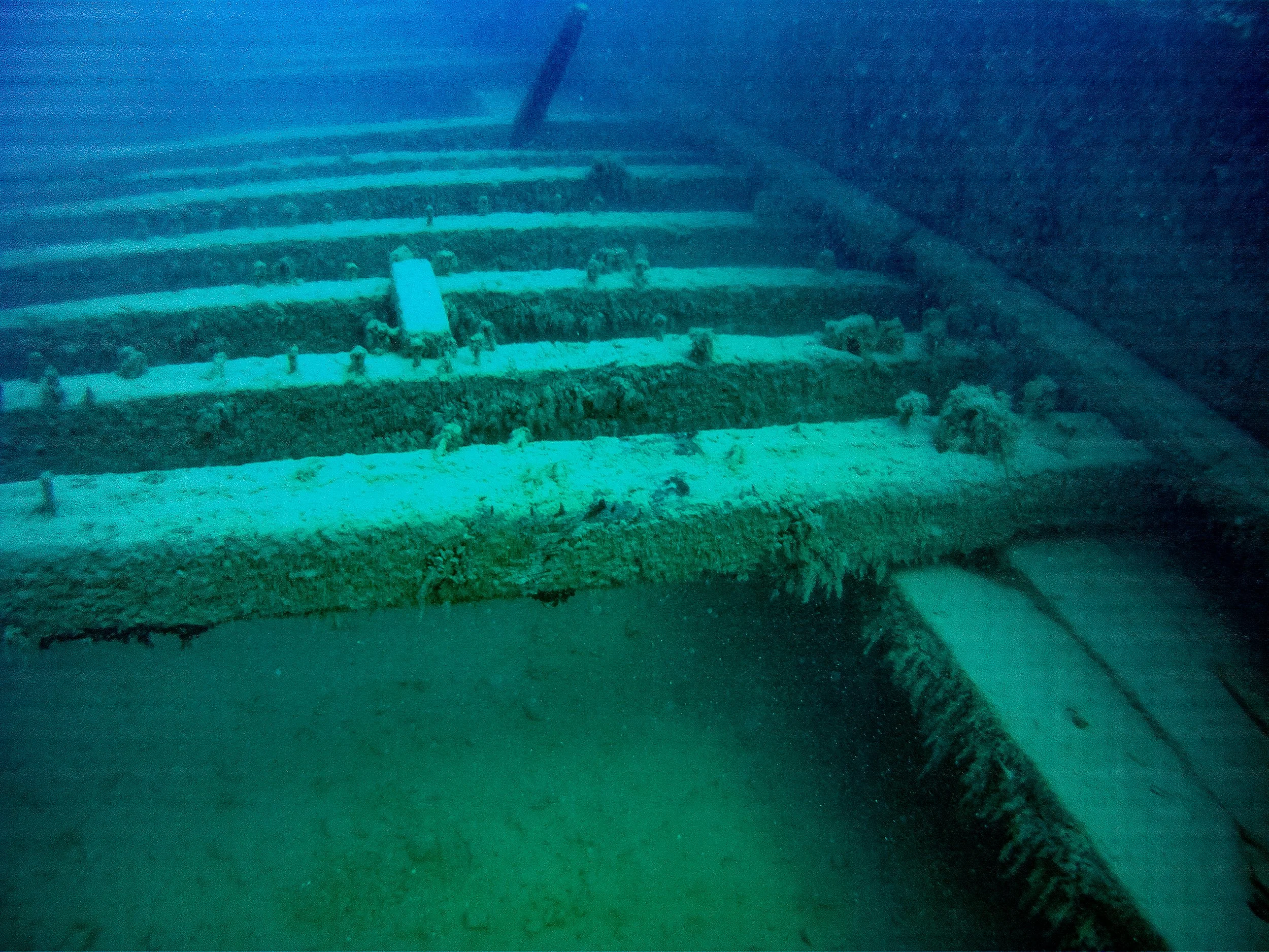 Wells burt July 2014-16.jpg