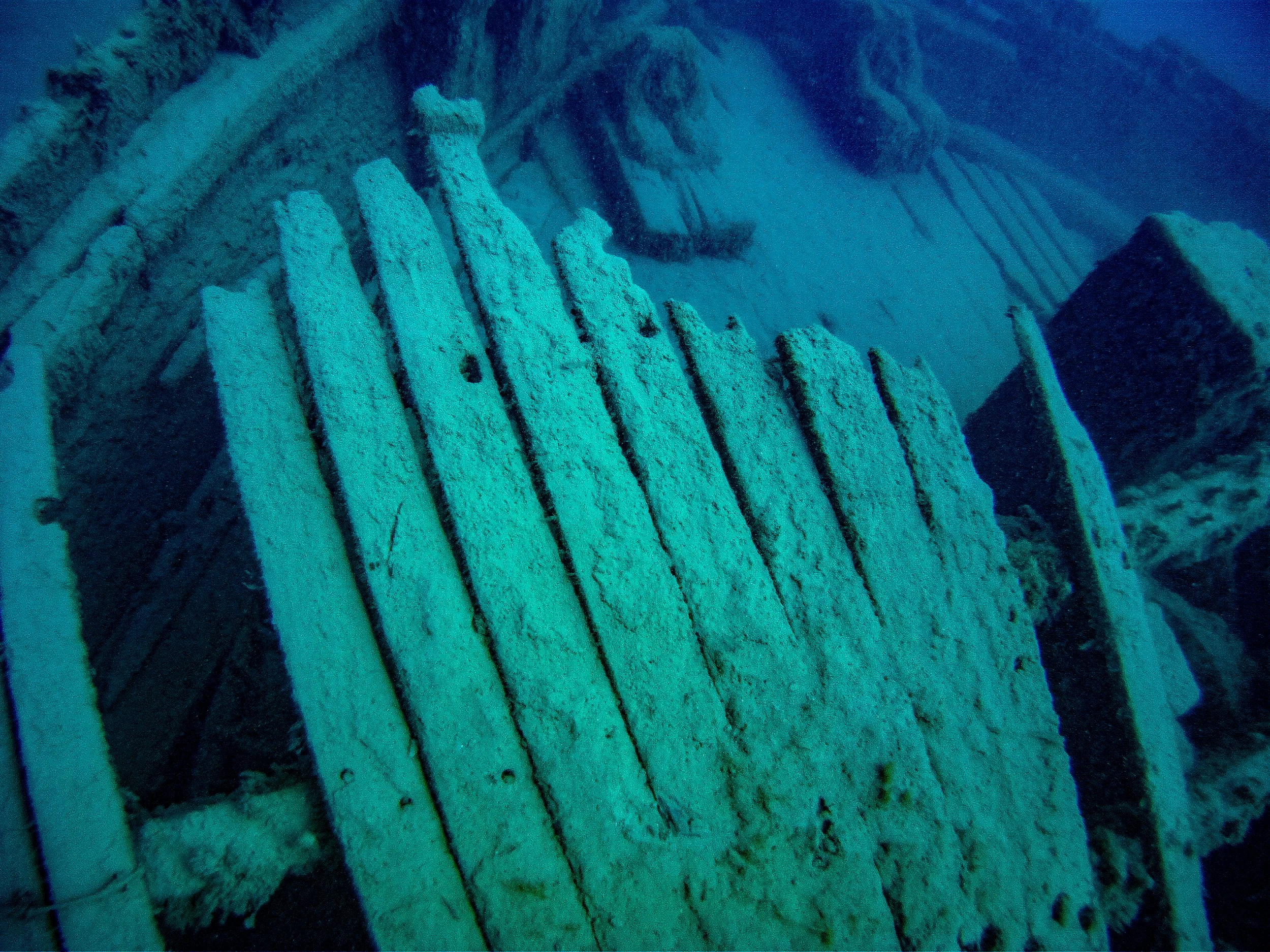 Wells burt July 2014-17.jpg