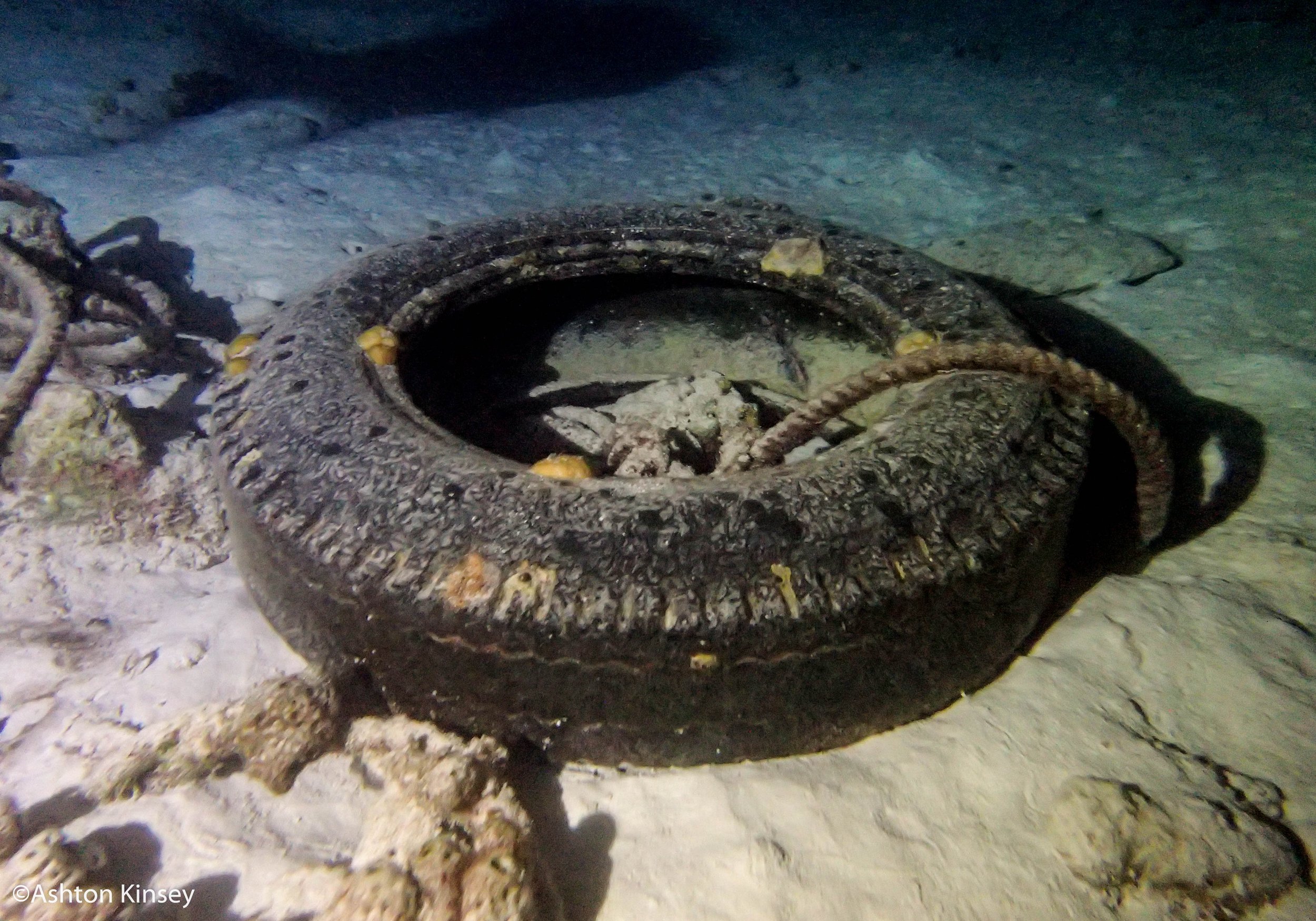 Calabas Reef 4, 5-7.jpg