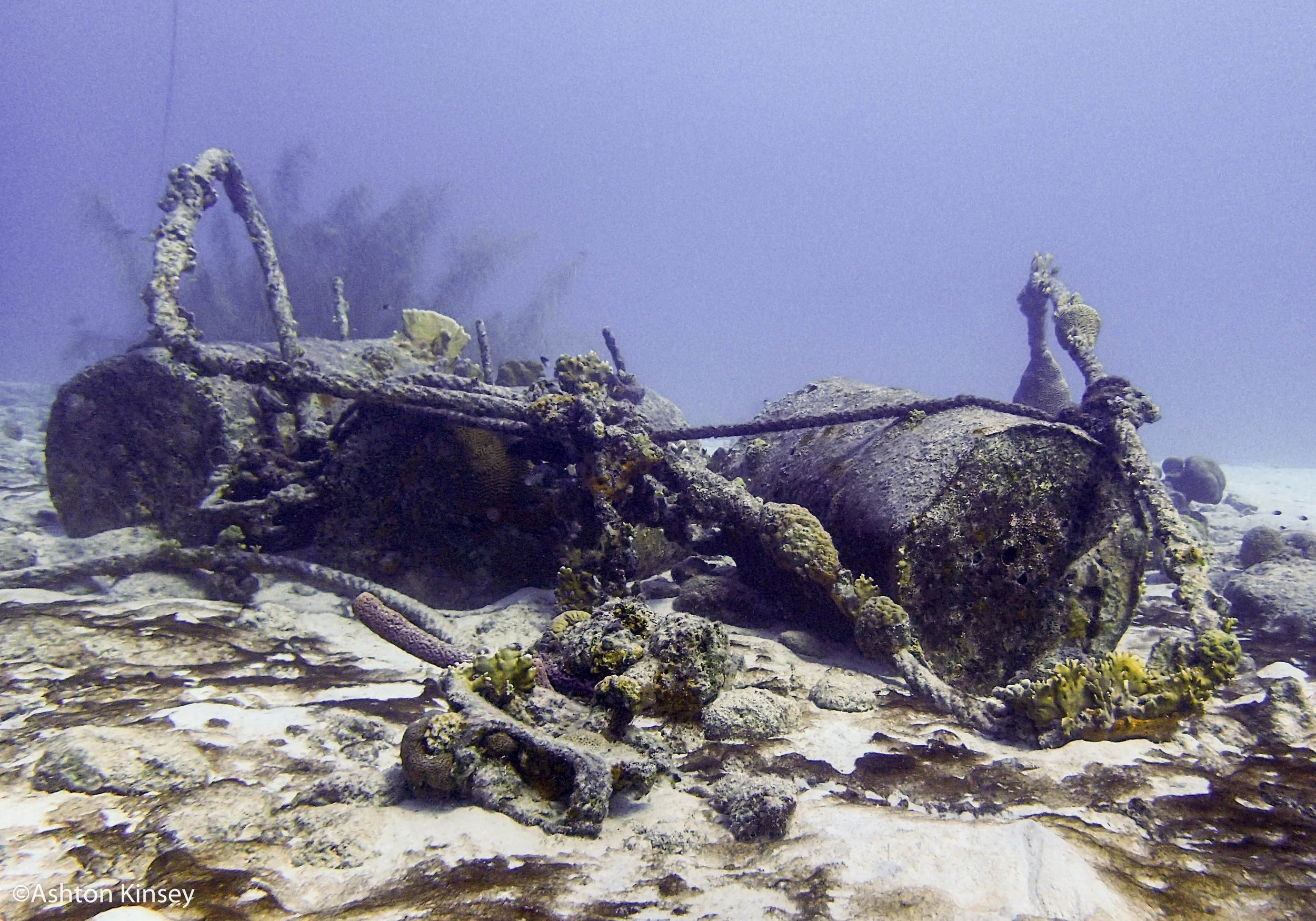Sebatian's Reef-2.jpg