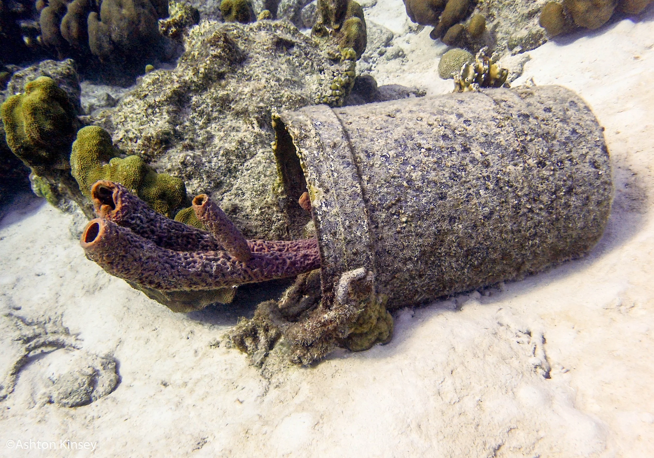 Sebatian's Reef.jpg