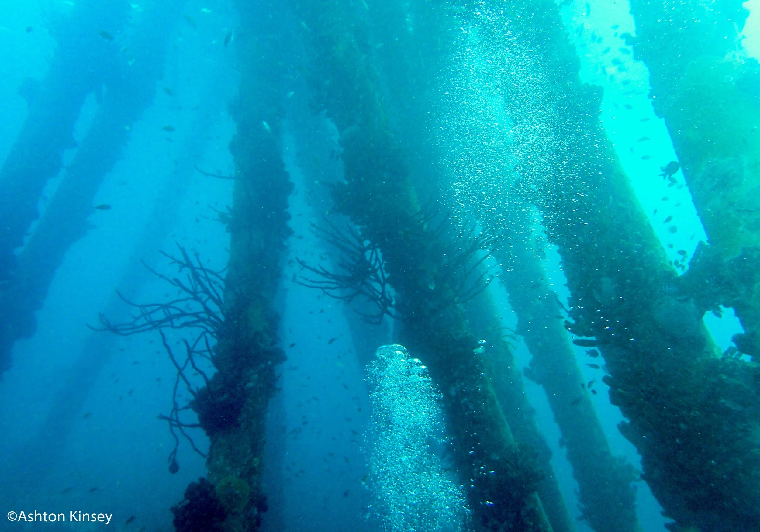 Salt Pier.jpg