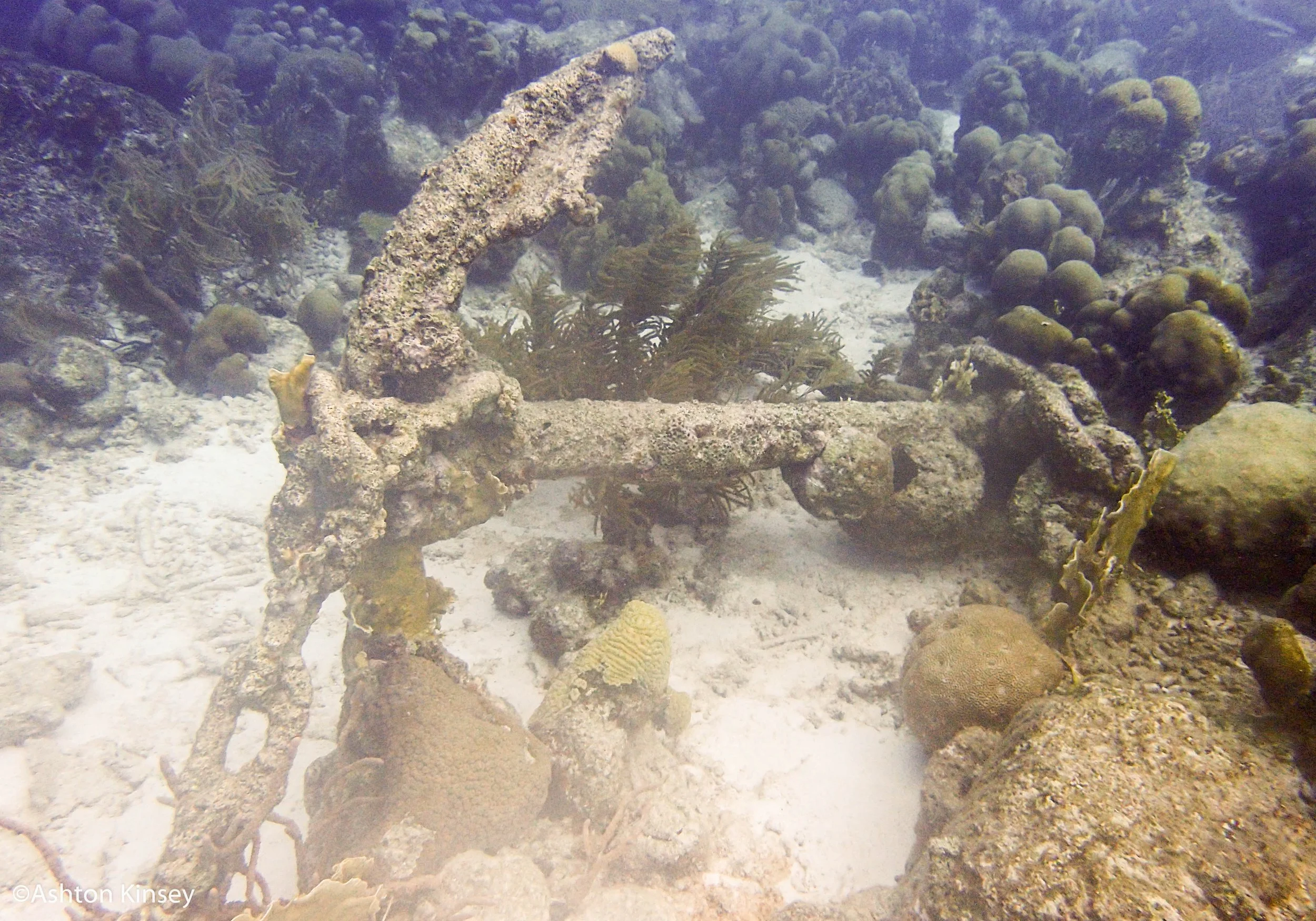 Small Wall-4.jpg