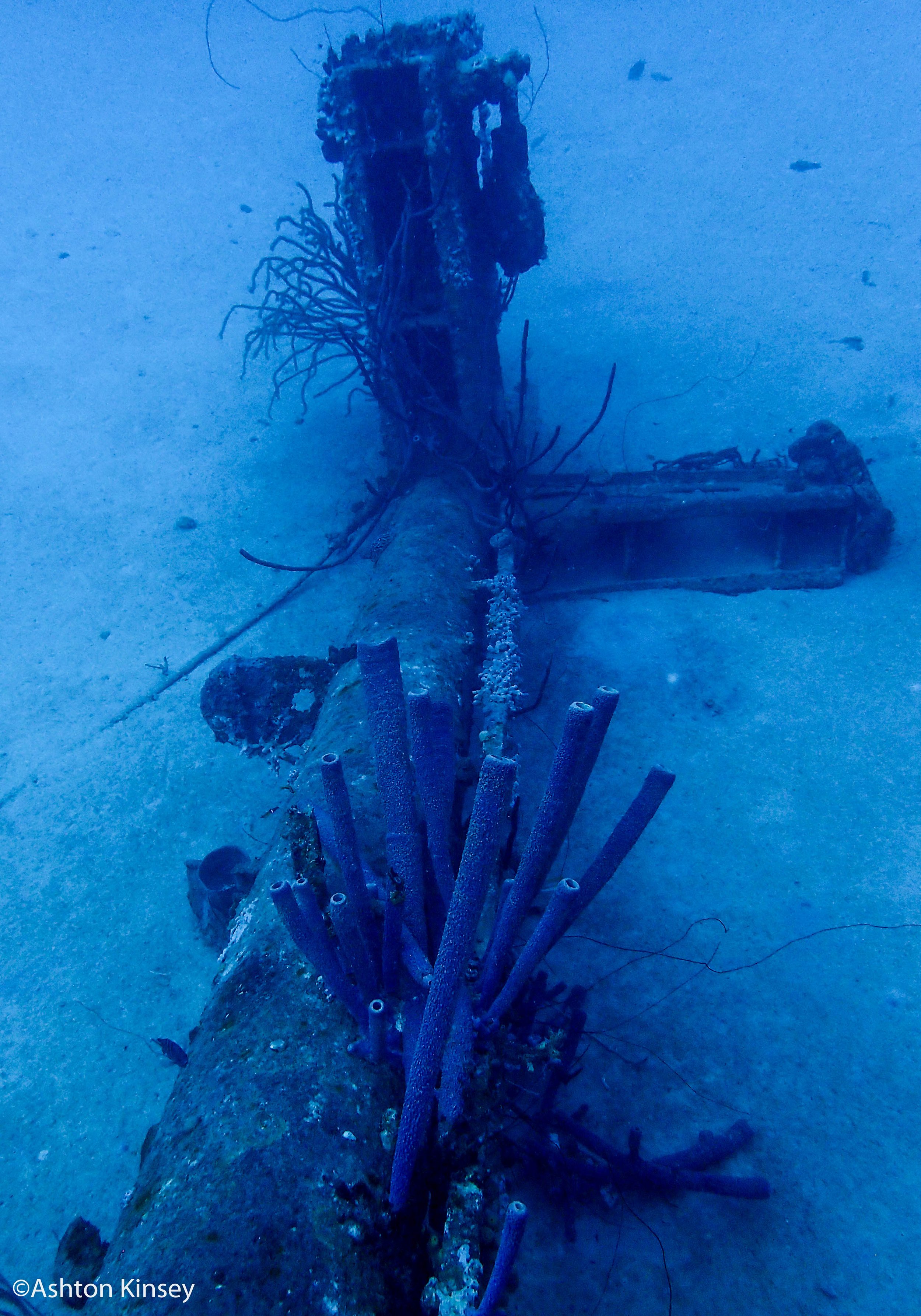 Hilma Hooker-2.jpg