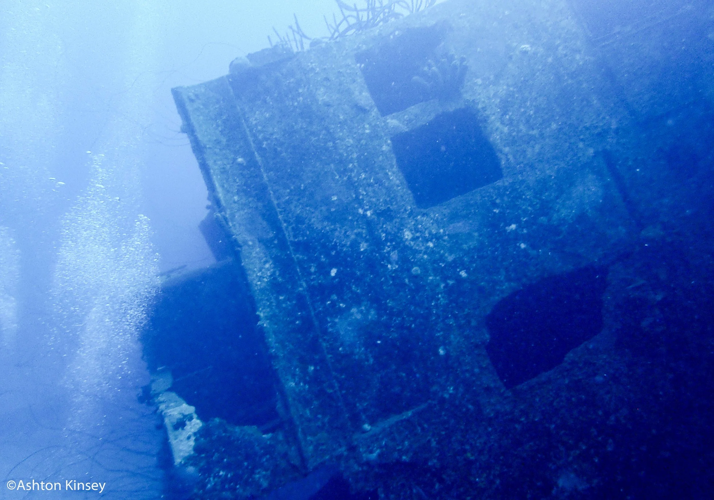 Hilma Hooker-3.jpg