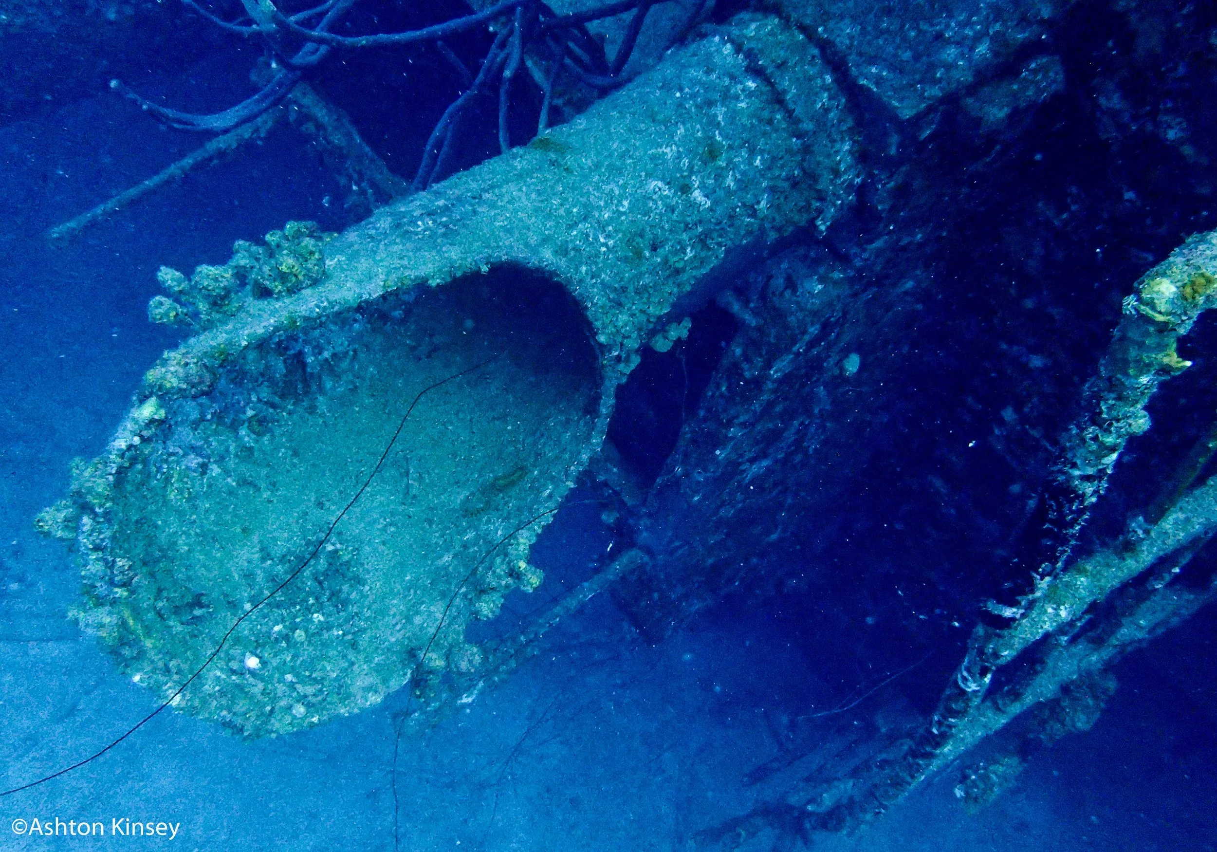 Hilma Hooker-6.jpg